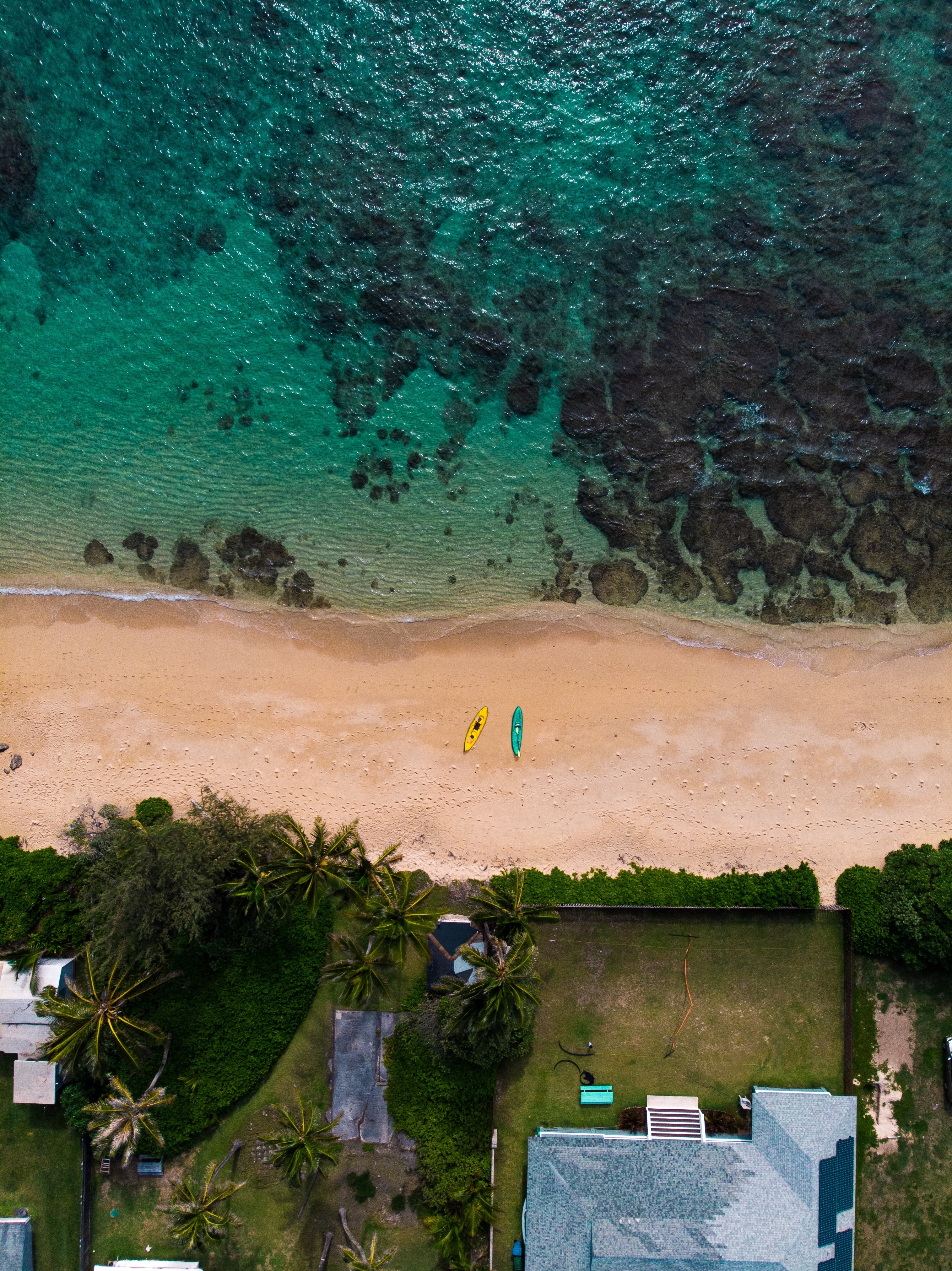 nature, beach, sea, palms, boats, view from above