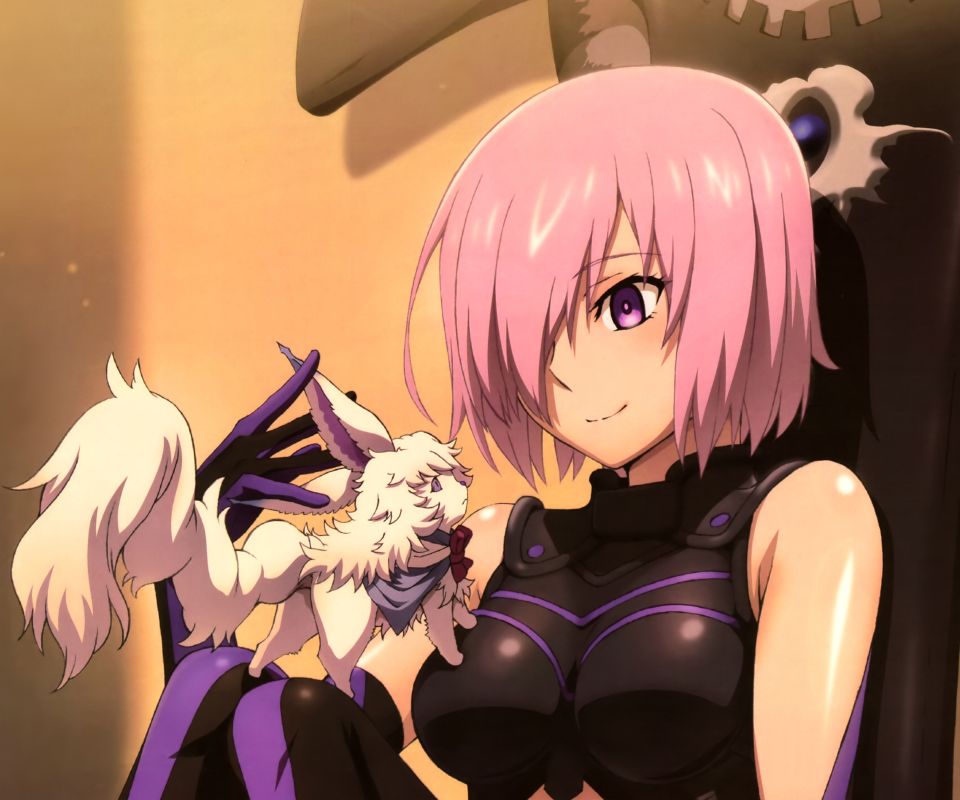 Download mobile wallpaper Anime, Fate/grand Order, Shielder (Fate/grand Order), Fate Series for free.