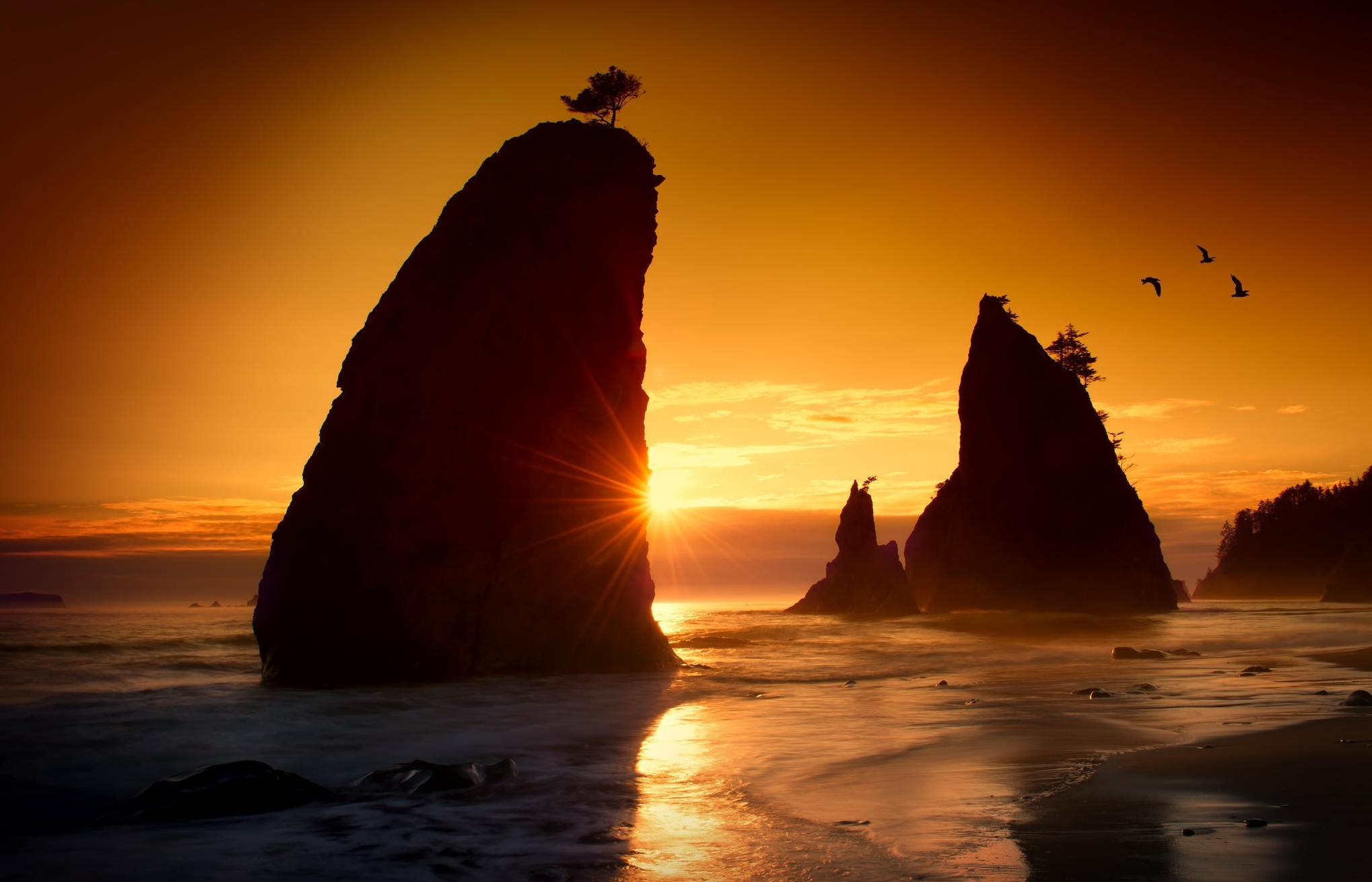 Laden Sie das Natur, Strand, Sand, Ozean, Sonnenaufgang, Erde/natur-Bild kostenlos auf Ihren PC-Desktop herunter