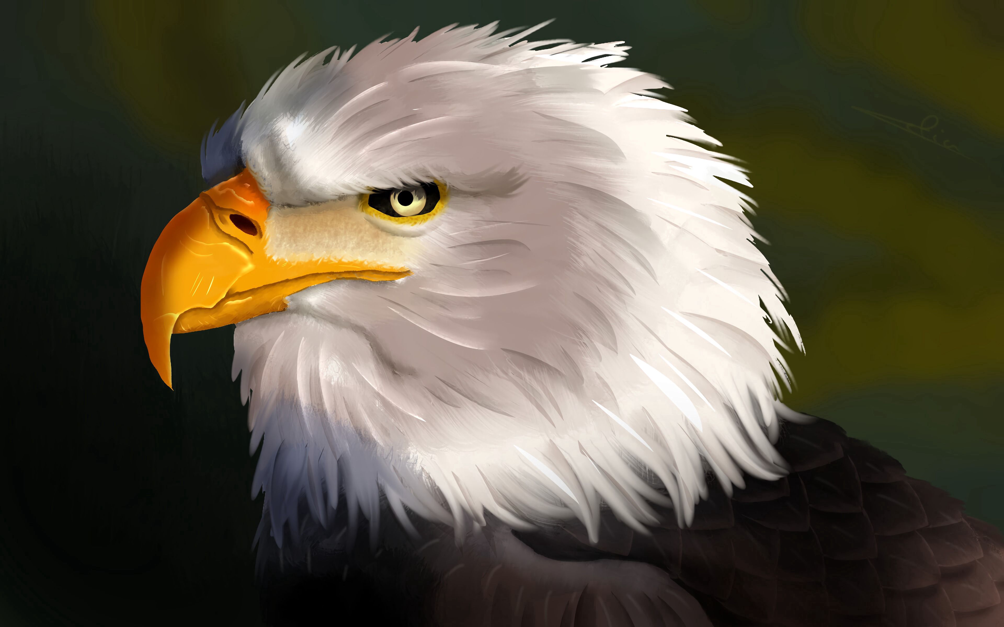 Free download wallpaper Bird, Head, Art, Eagle on your PC desktop