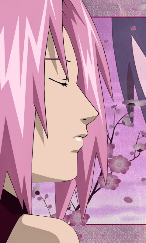 Download mobile wallpaper Anime, Naruto, Sasuke Uchiha, Sakura Haruno for free.