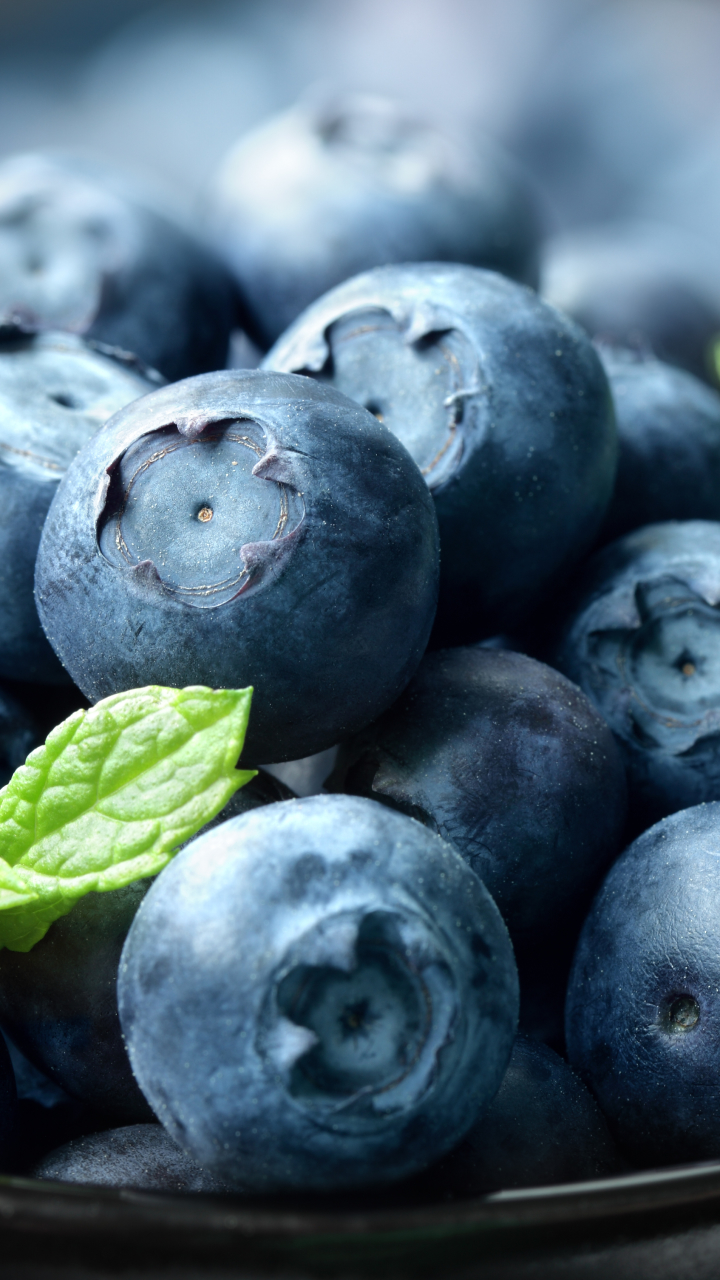 Download mobile wallpaper Food, Blueberry, Berry for free.