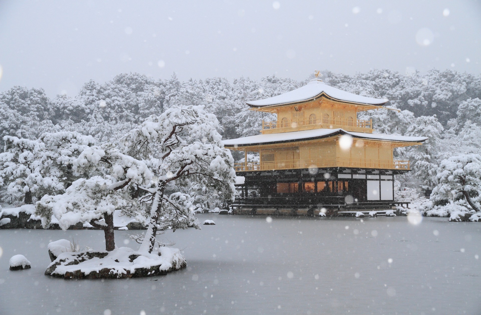 337896 baixar papel de parede religioso, kinkaku ji, japão, quioto, queda de neve, o templo do pavilhão dourado, templos - protetores de tela e imagens gratuitamente
