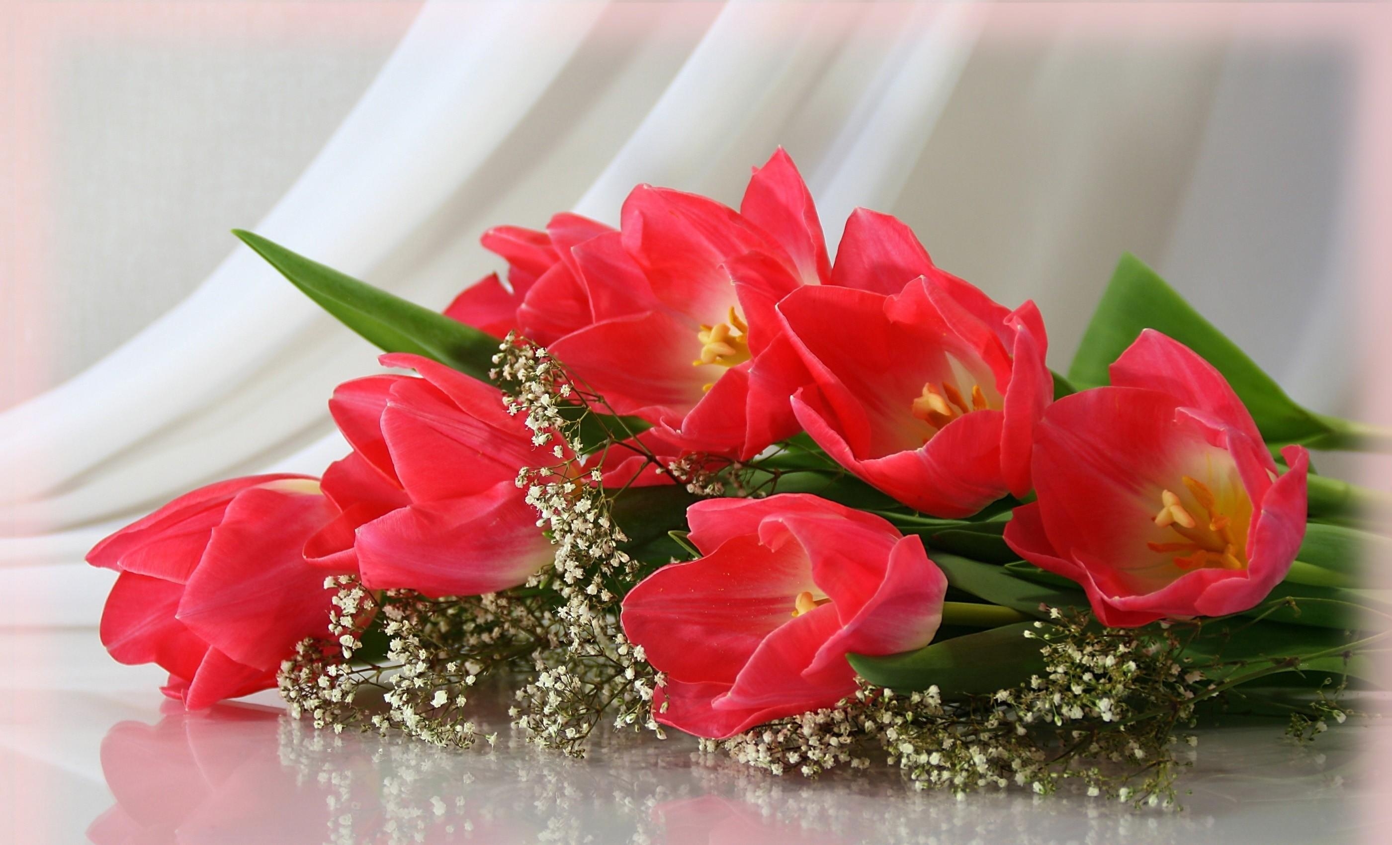 Full HD Wallpaper flowers, tulips, bouquet, gypsophilus, gipsophile, disbanded, loose, tenderness