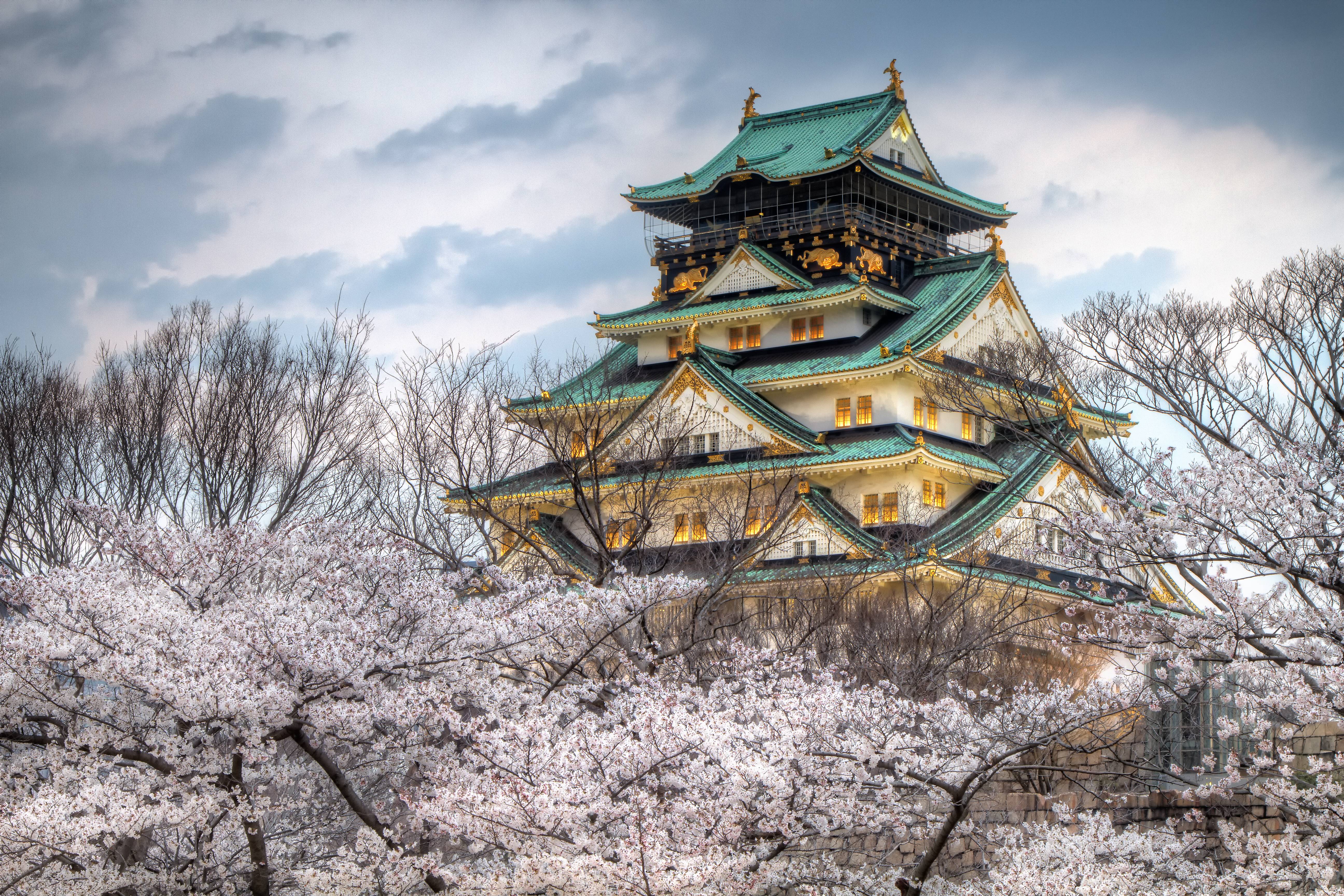 441419画像をダウンロード大阪城, マンメイド, ブランチ, 白い花, 城-壁紙とスクリーンセーバーを無料で
