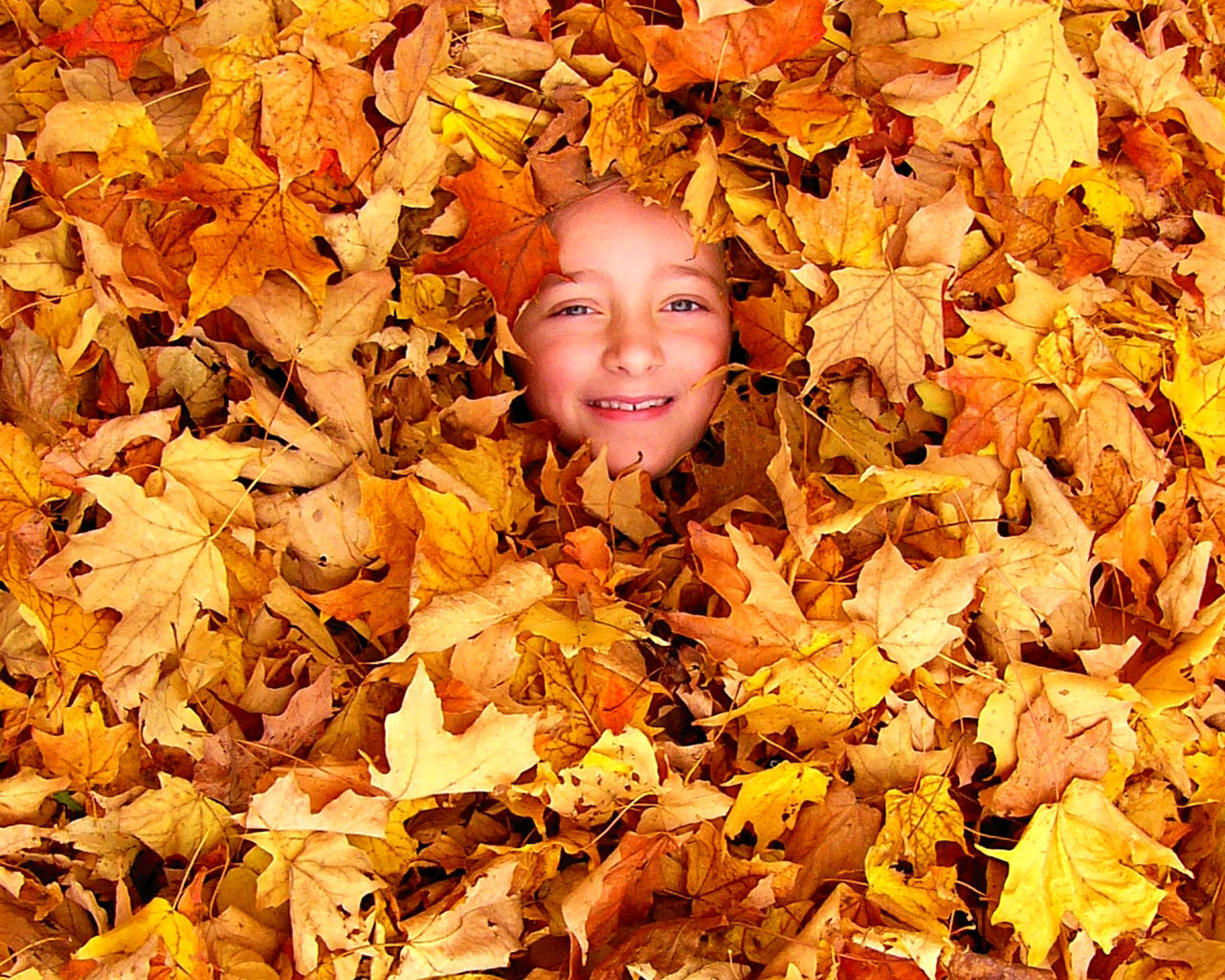 Free download wallpaper Leaf, Smile, Child, Face, Photography on your PC desktop
