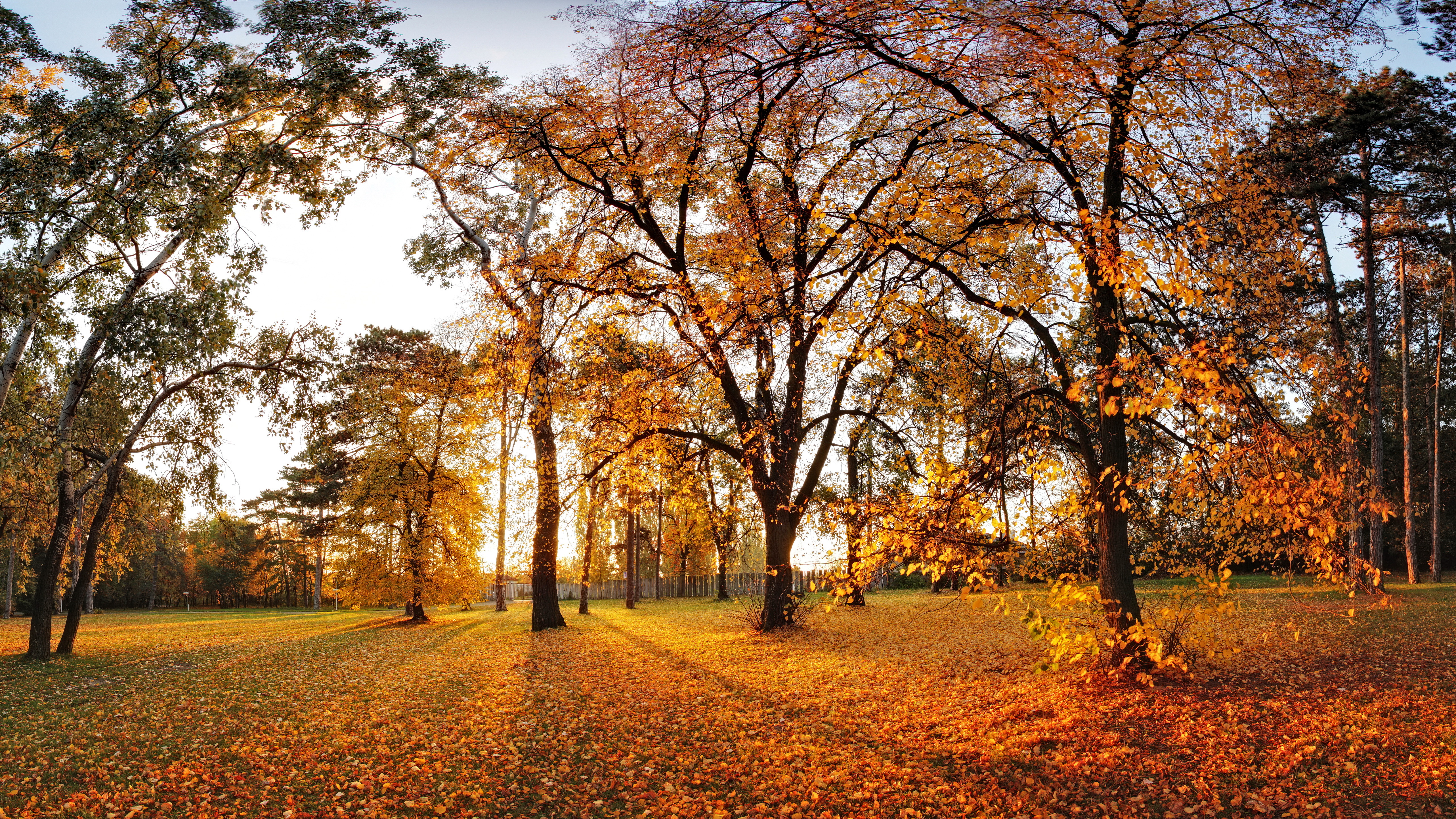 Laden Sie das Landschaft, Natur, Herbst, Park, Baum, Blatt, Fotografie-Bild kostenlos auf Ihren PC-Desktop herunter