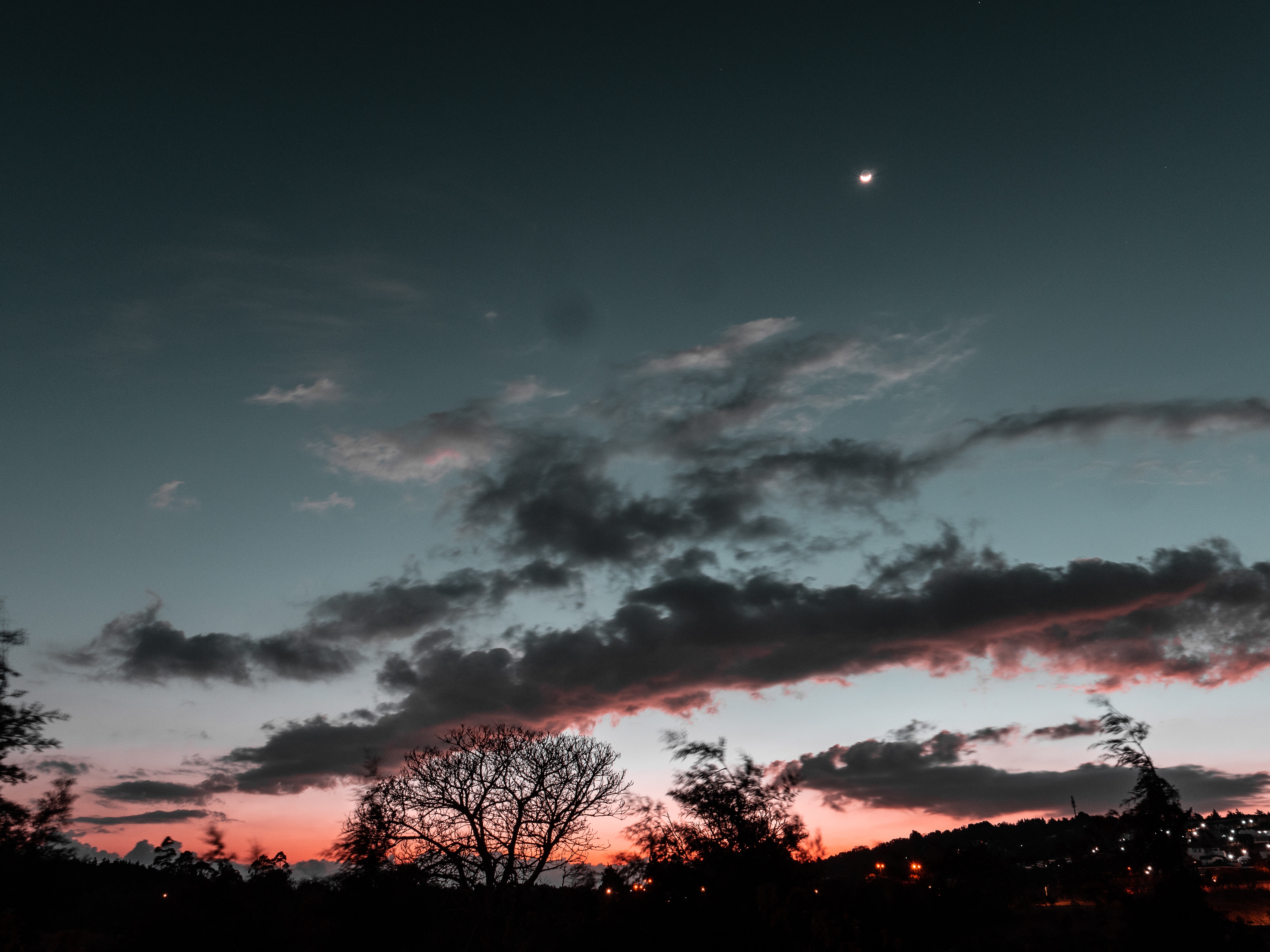 Free download wallpaper Trees, Sky, Nature, Sunset, Clouds, Night, Moon on your PC desktop