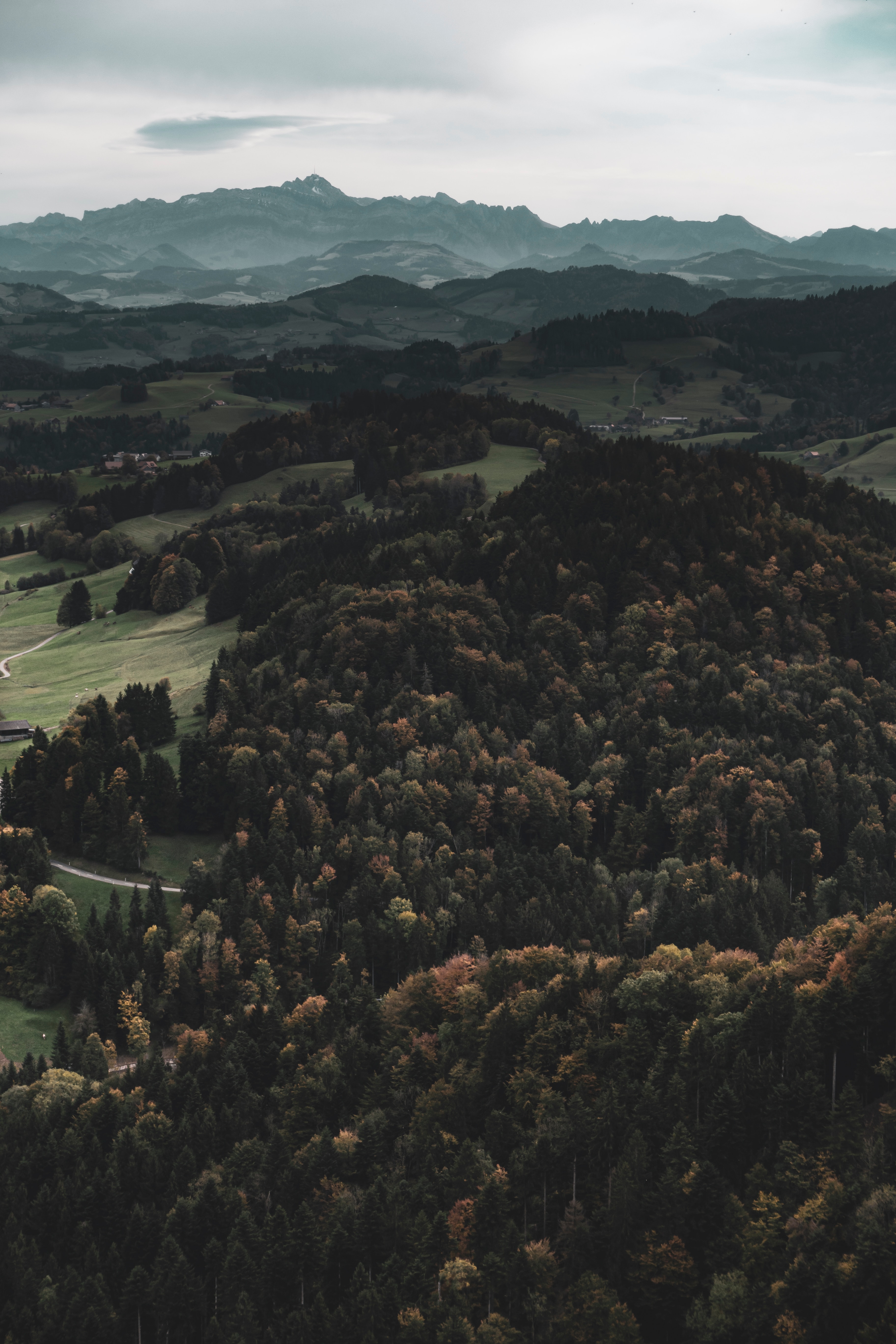Download mobile wallpaper View From Above, Forest, Mountains, Nature, Hills, Landscape for free.