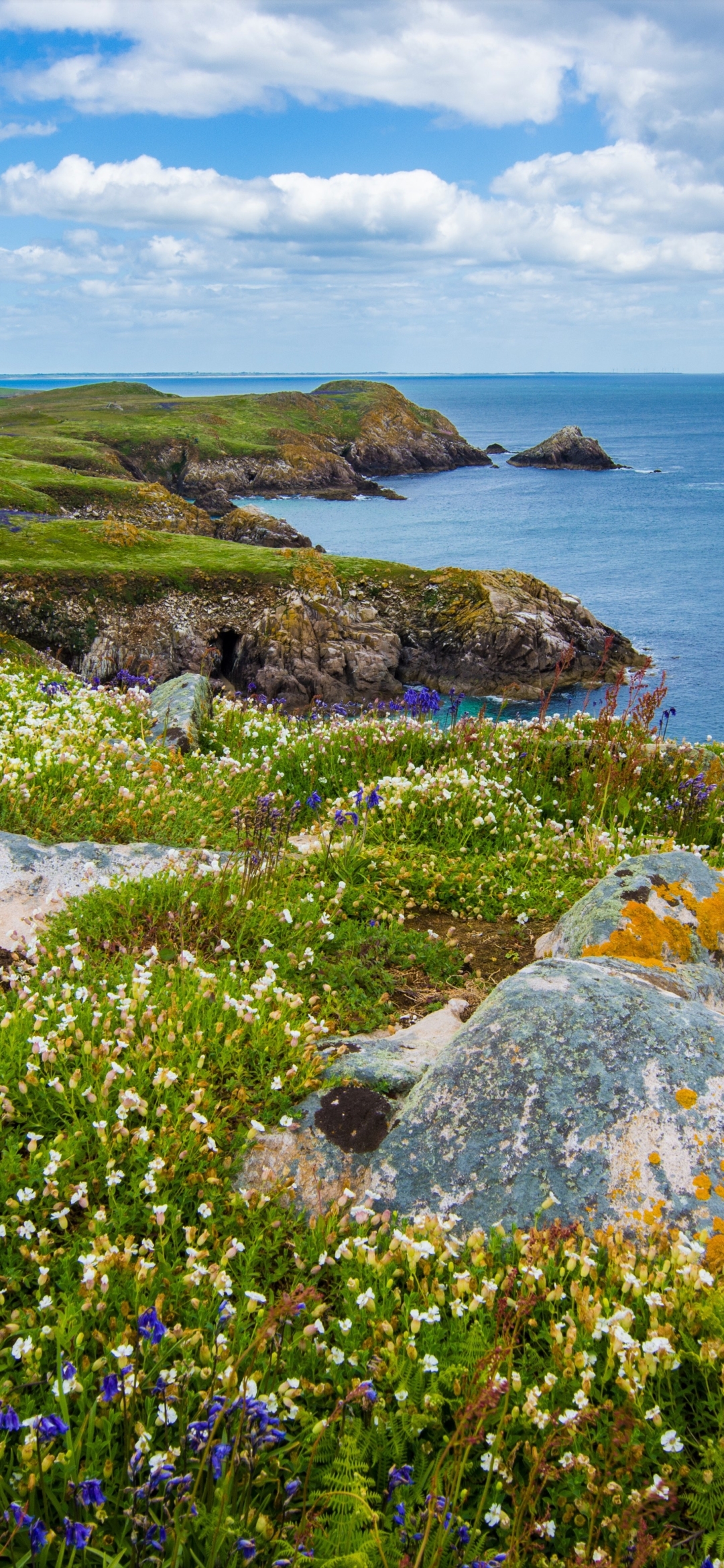 Download mobile wallpaper Horizon, Flower, Coast, Earth, Coastline, Ireland for free.