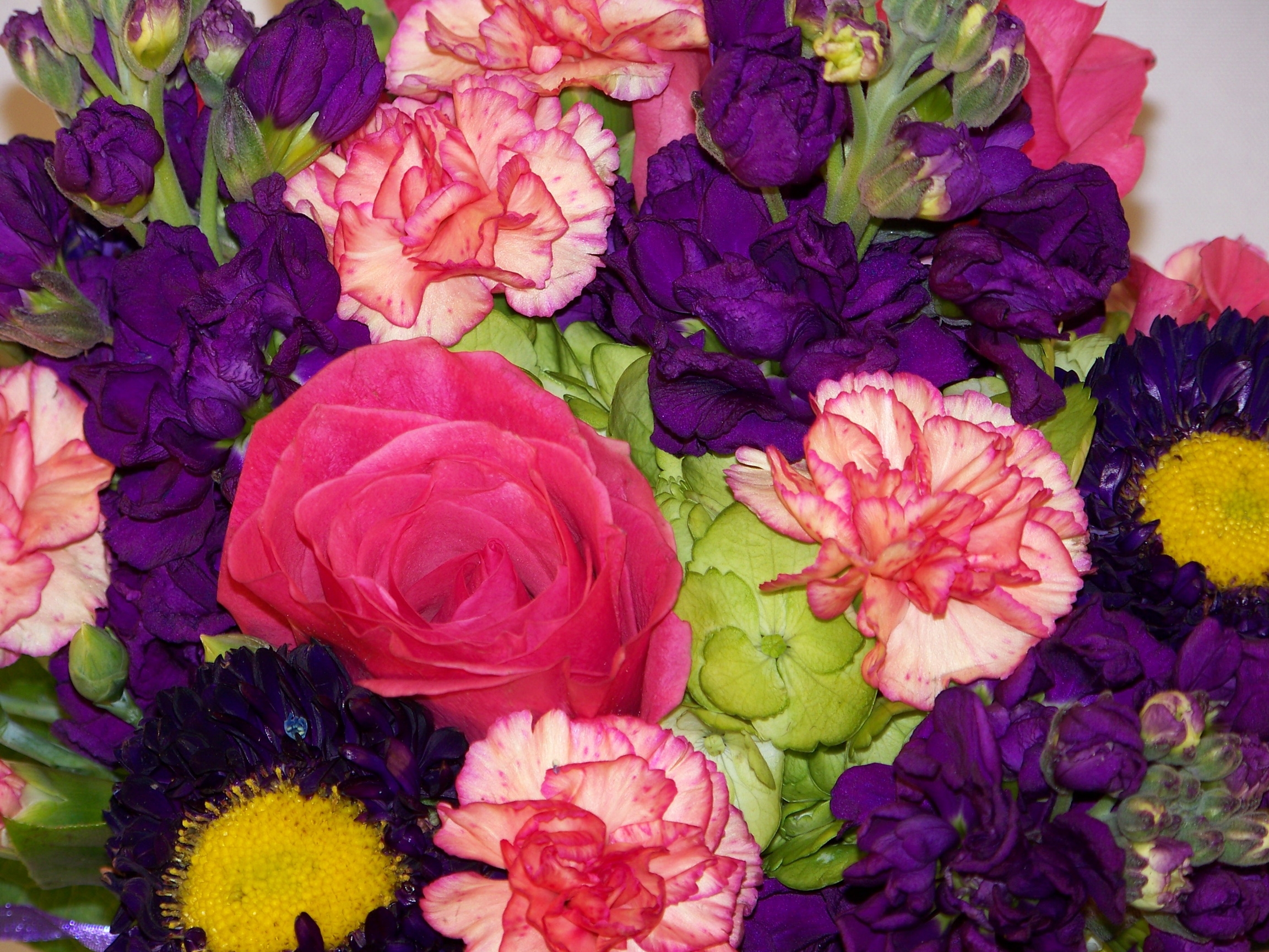 flowers, carnations, bouquet 2160p