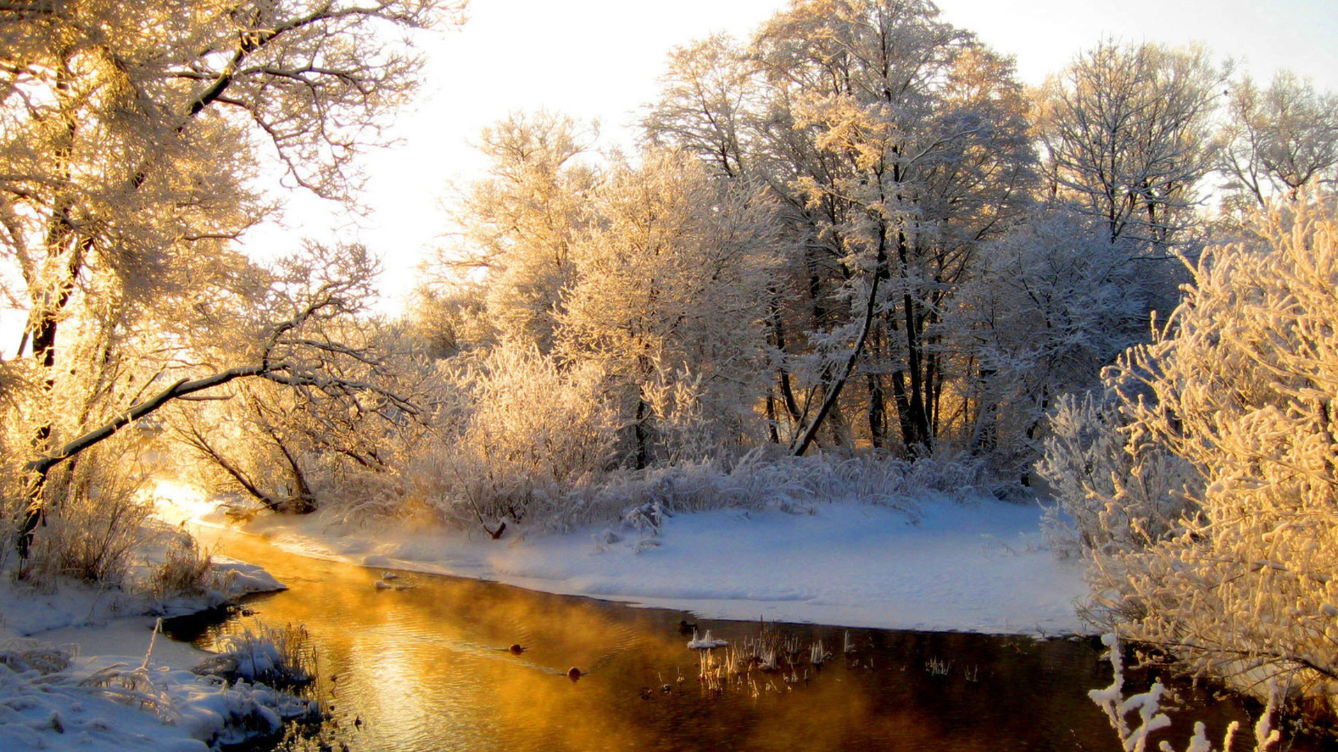 Handy-Wallpaper Winter, Erde/natur kostenlos herunterladen.