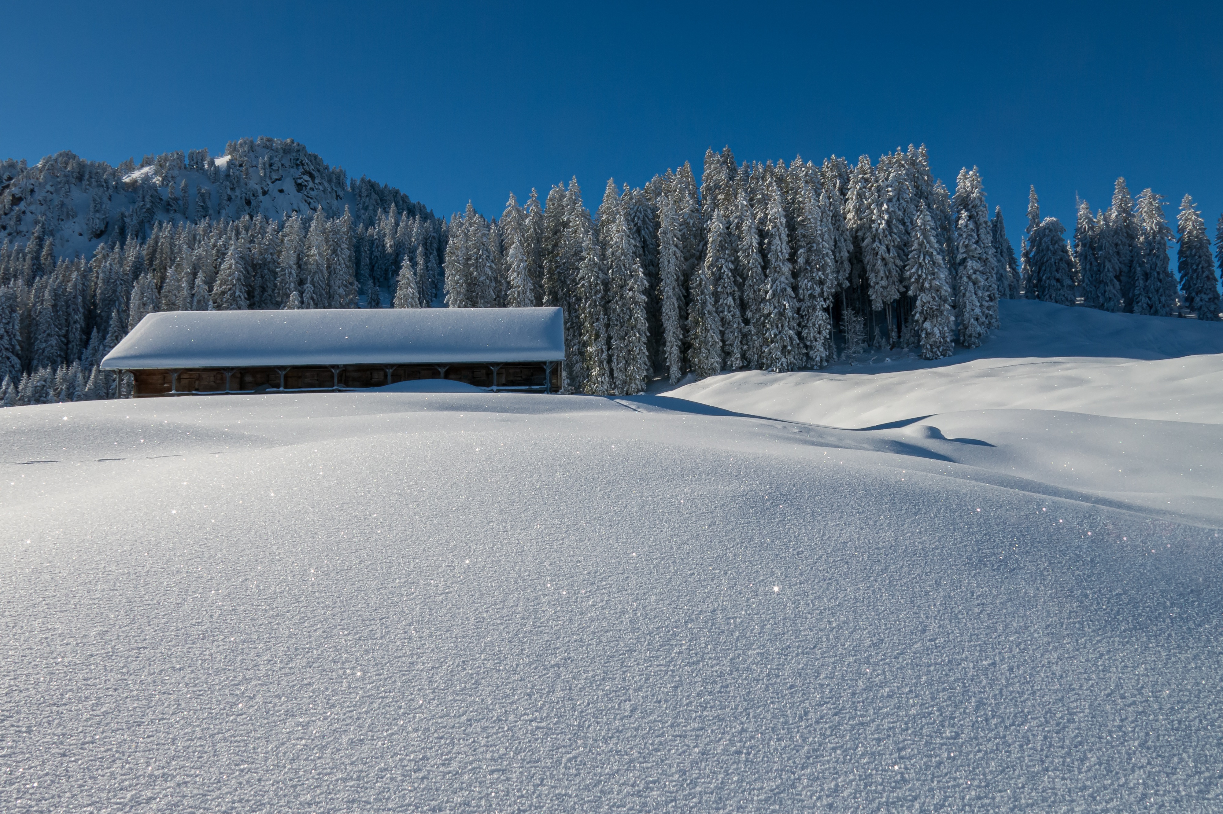 Laden Sie das Winter, Wald, Fichte, Dach, Scheune, Himmel, Menschengemacht-Bild kostenlos auf Ihren PC-Desktop herunter