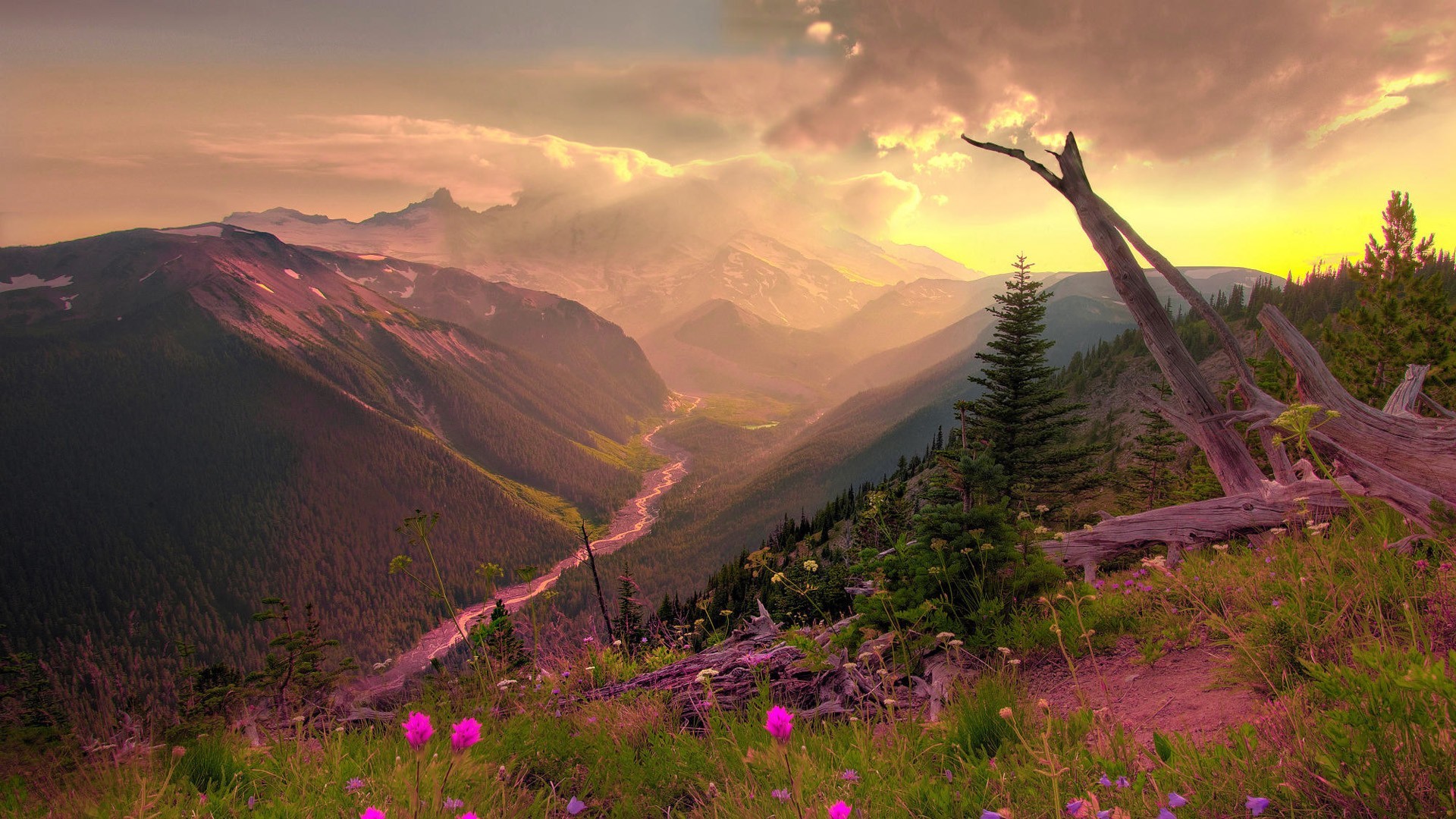 Download mobile wallpaper Landscape, Mountain, Flower, Fog, Earth, Valley, Spring for free.