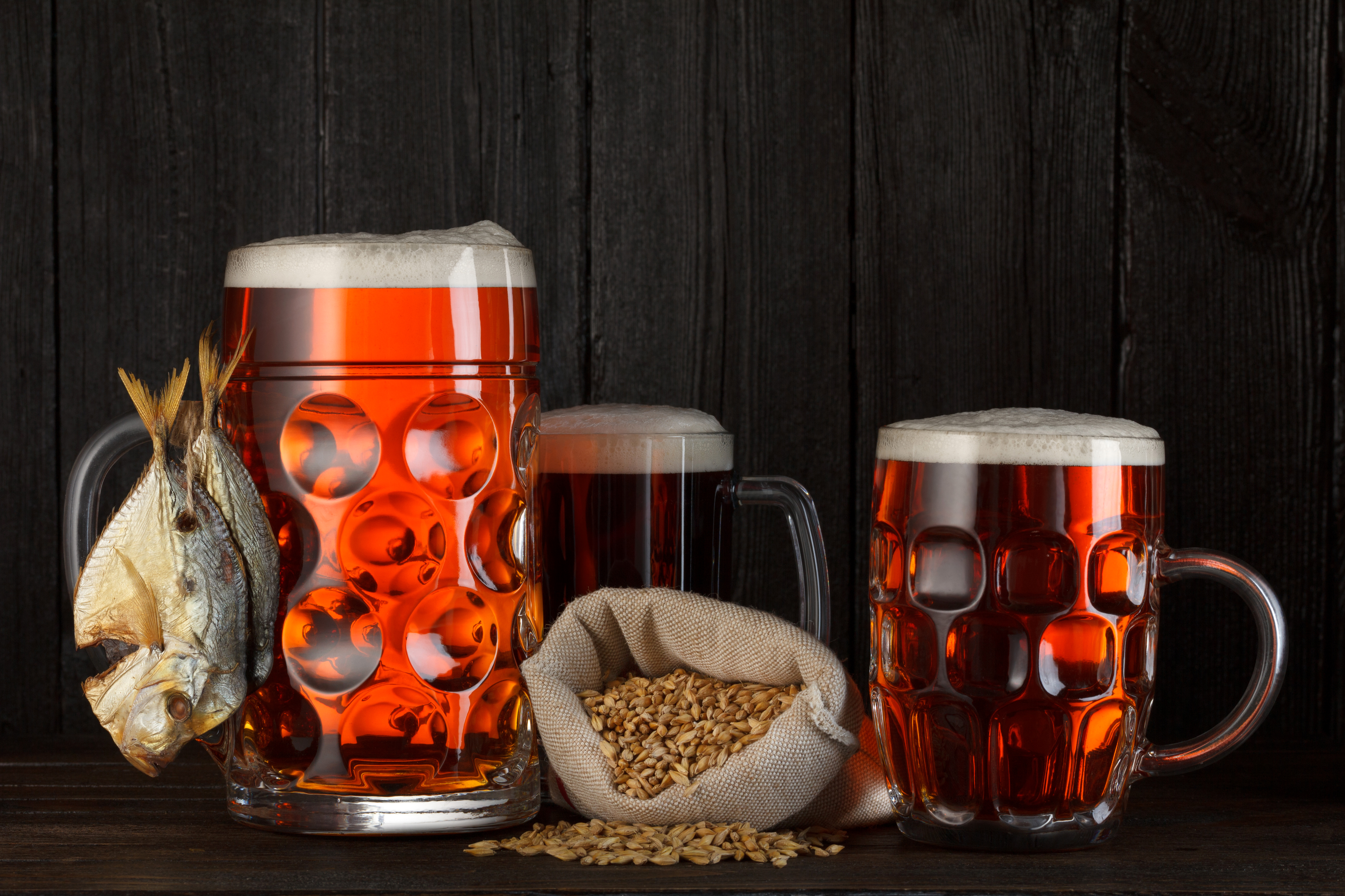 Free download wallpaper Food, Beer, Glass, Fish, Alcohol on your PC desktop