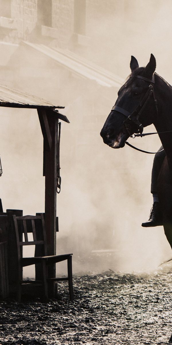 Desktop wallpaper: Peaky Blinders, Thomas Shelby, Cillian Murphy, Horse ...