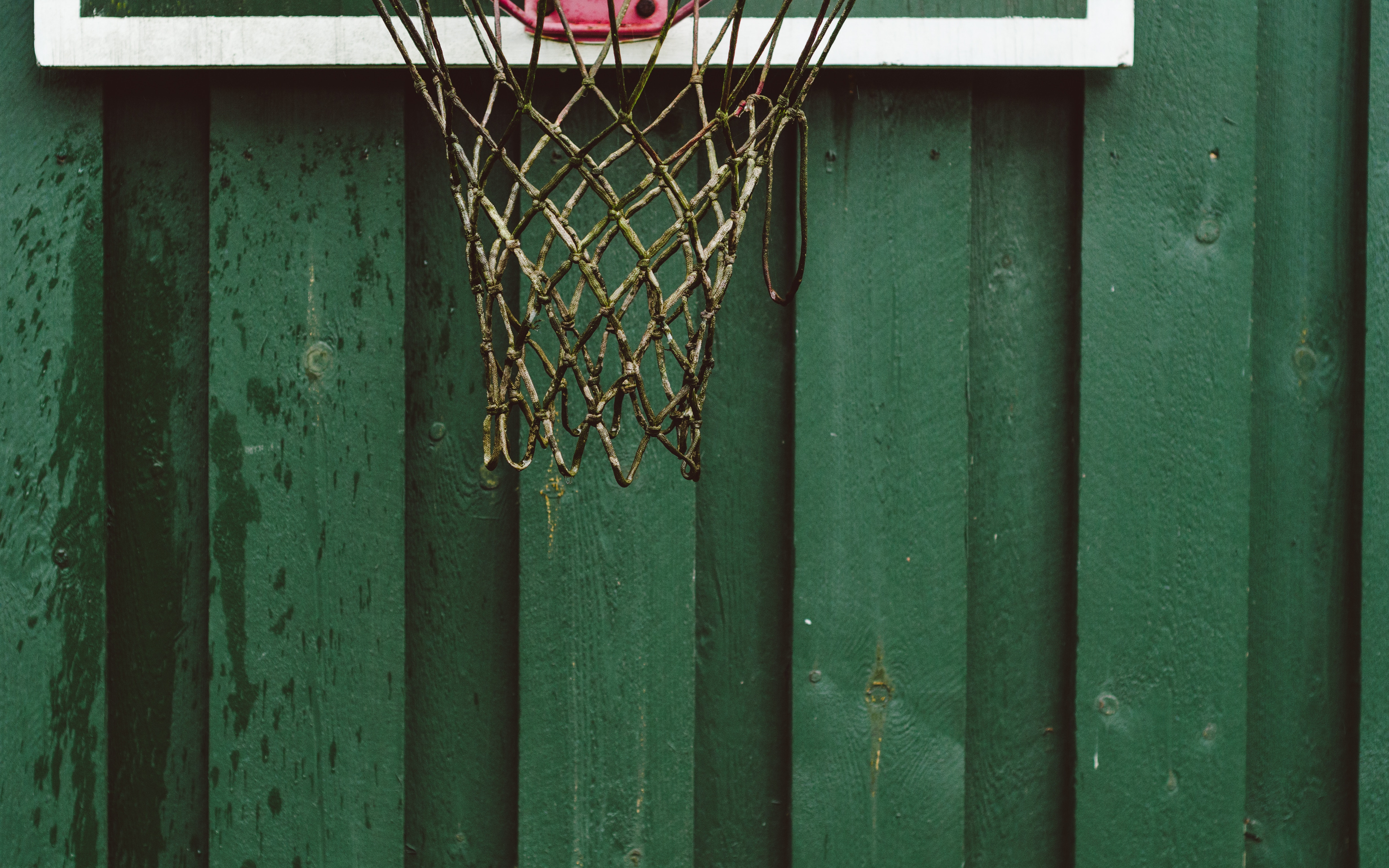 sports, wall, ring, basketball net, basketball grid