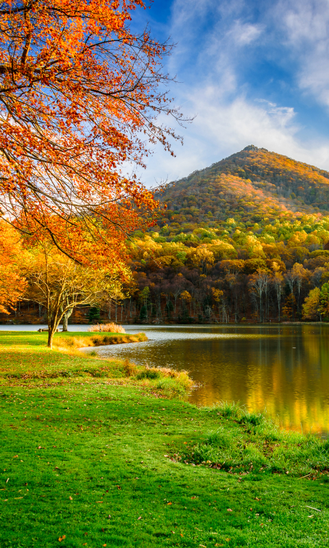 Descarga gratuita de fondo de pantalla para móvil de Paisaje, Otoño, Rio, Montaña, Bosque, Árbol, Tierra, Tierra/naturaleza.