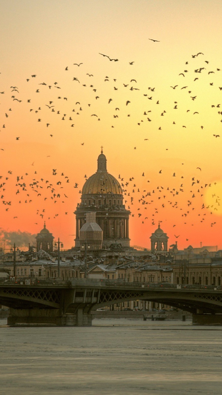 Handy-Wallpaper Städte, Winter, Vogel, Brücke, Morgen, Russland, Sankt Petersburg, Sonne, Menschengemacht kostenlos herunterladen.