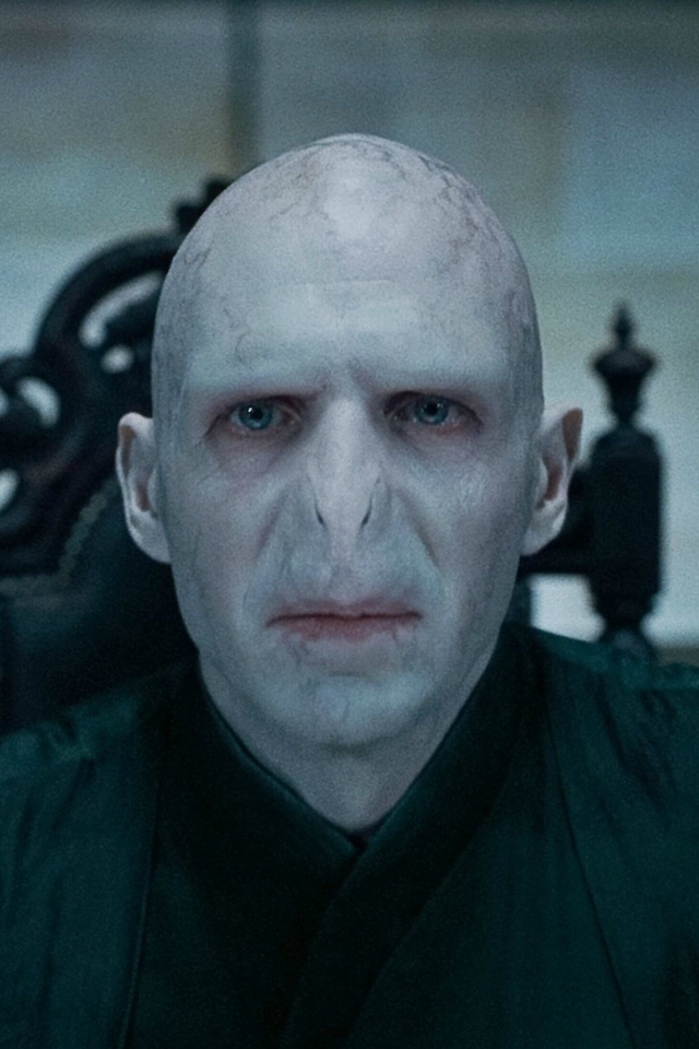 movie, harry potter and the deathly hallows: part 1, lord voldemort, harry potter