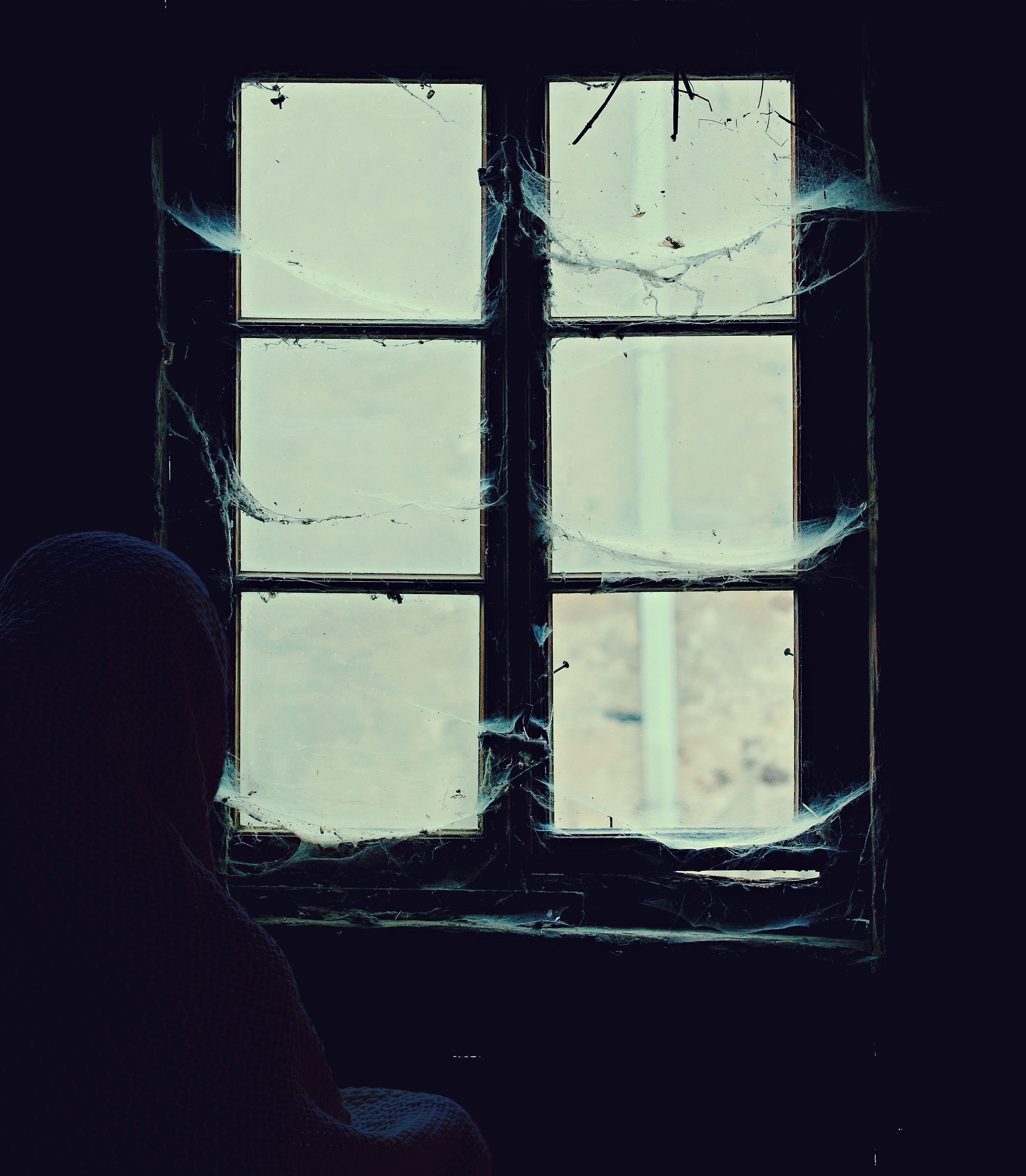 abandoned, alone, web, miscellanea, miscellaneous, window, loneliness, lonely, hopelessness, despair Free Stock Photo