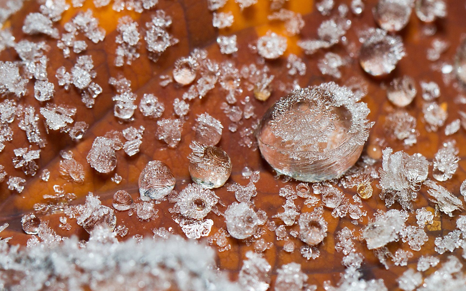 Download mobile wallpaper Macro, Ice, Drops, Surface for free.