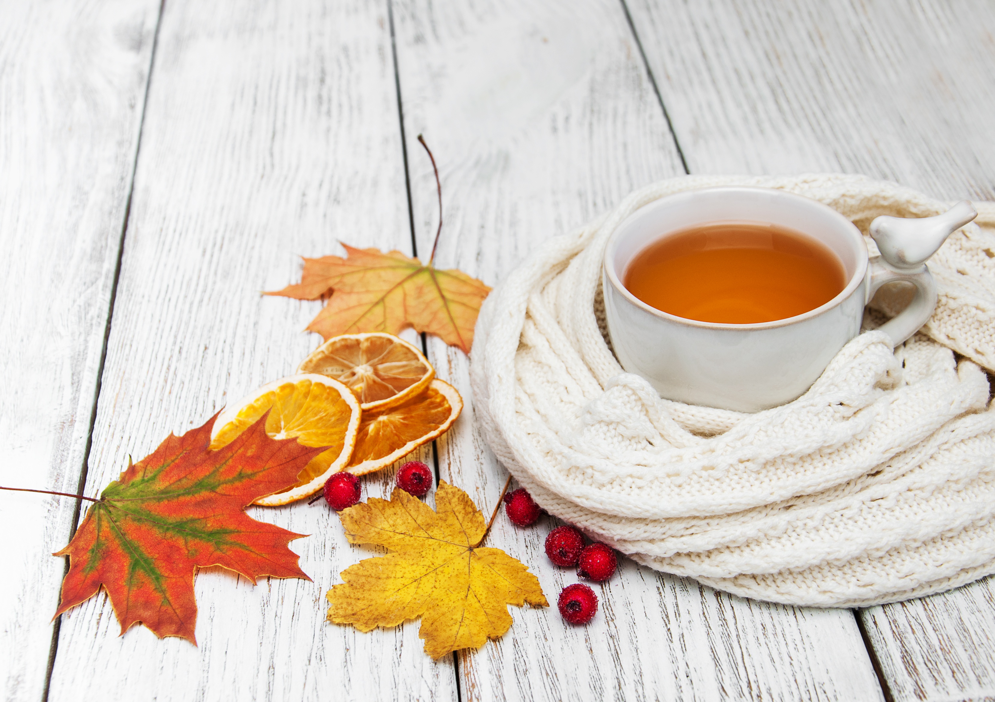 Laden Sie das Herbst, Tasse, Blatt, Tee, Nahrungsmittel, Stillleben, Getränk-Bild kostenlos auf Ihren PC-Desktop herunter