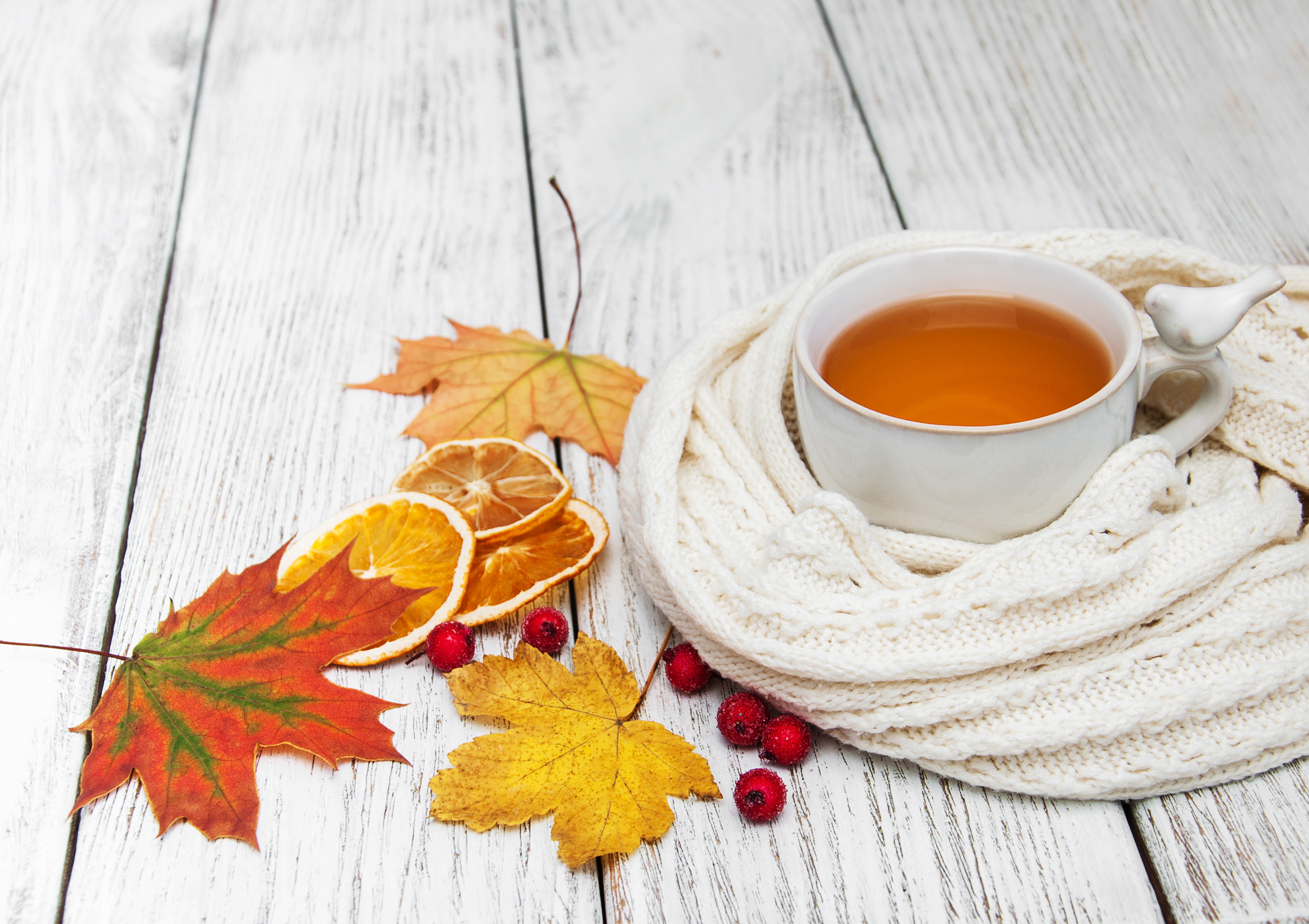 Free download wallpaper Food, Still Life, Cup, Leaf, Fall, Drink, Tea on your PC desktop