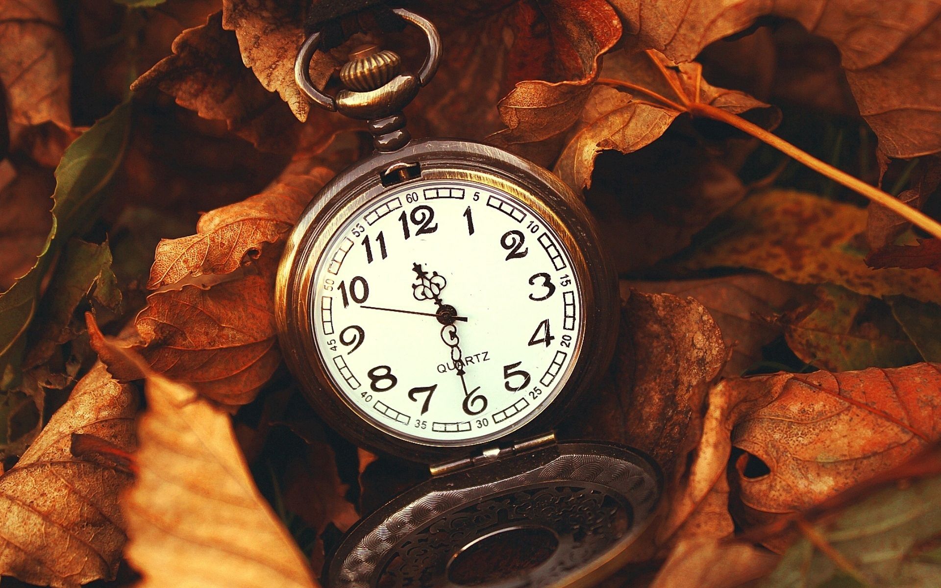 Download mobile wallpaper Macro, Miscellanea, Miscellaneous, Time, Nature, Leaves, Clock, It's Time for free.