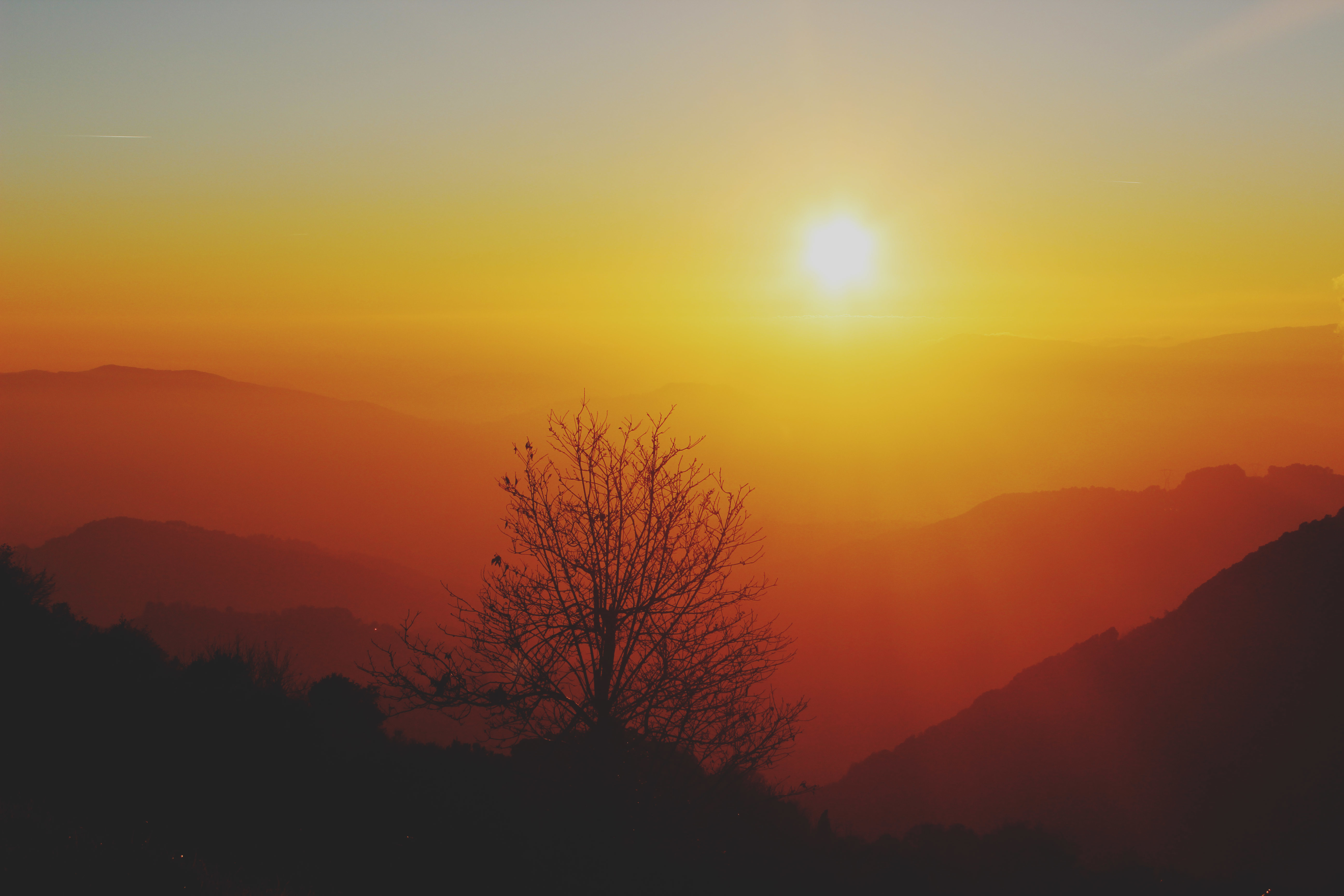 Free download wallpaper Sky, Sun, Horizon, Tree, Sunrise, Earth on your PC desktop