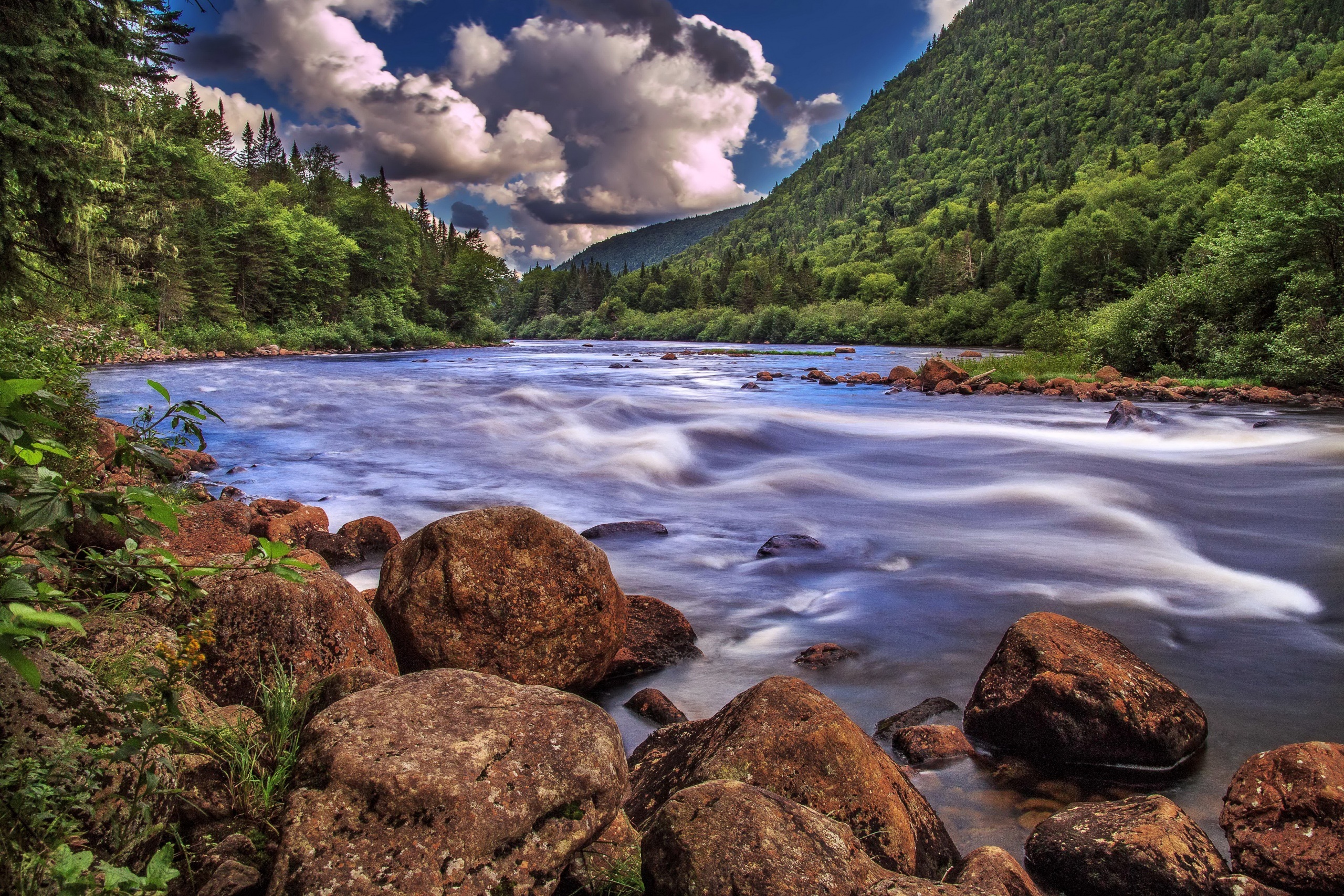 Free download wallpaper Nature, Forest, Earth, Cloud, River on your PC desktop
