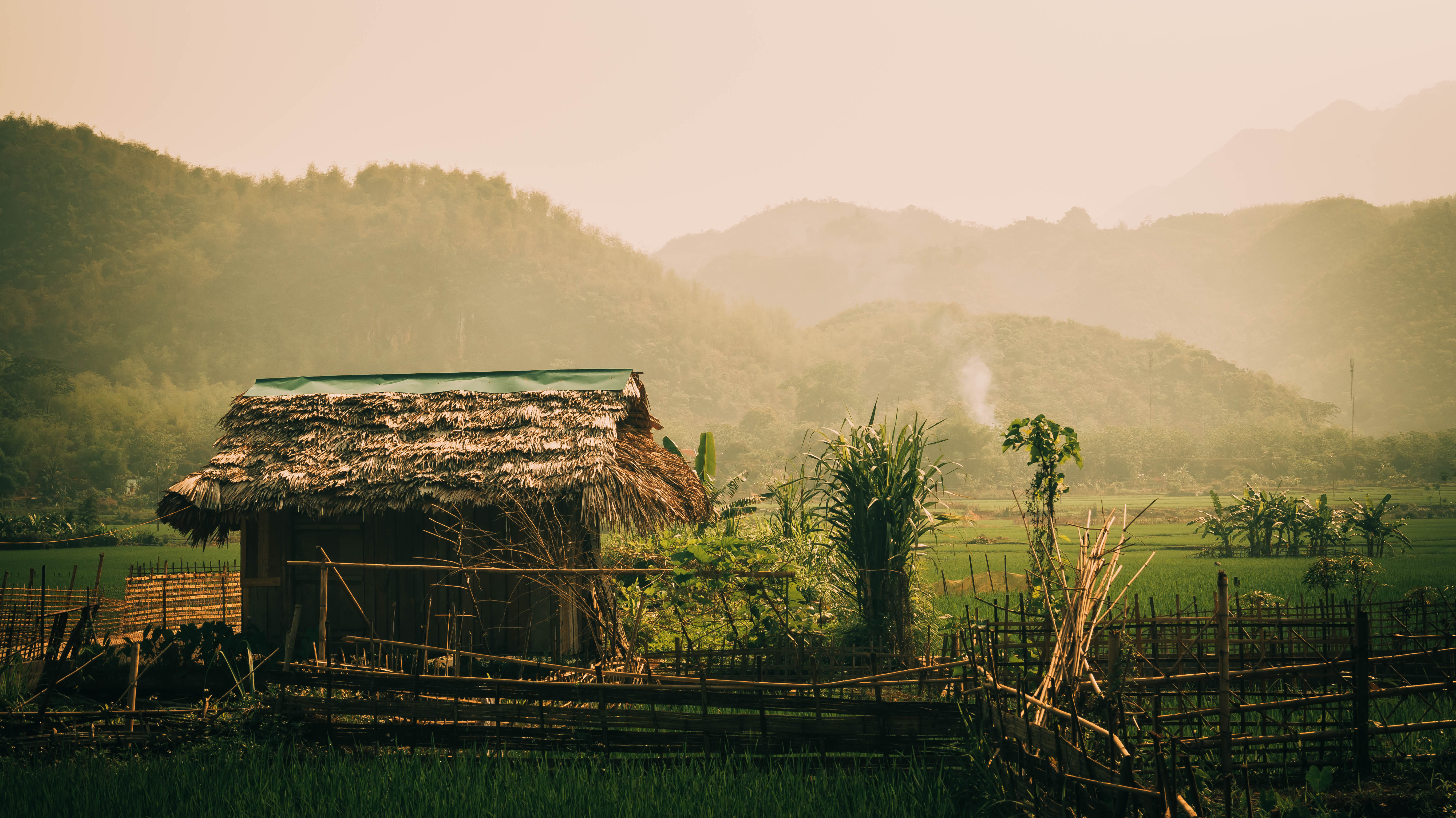man made, farm, hut, mountain, rice paddy, vietnam