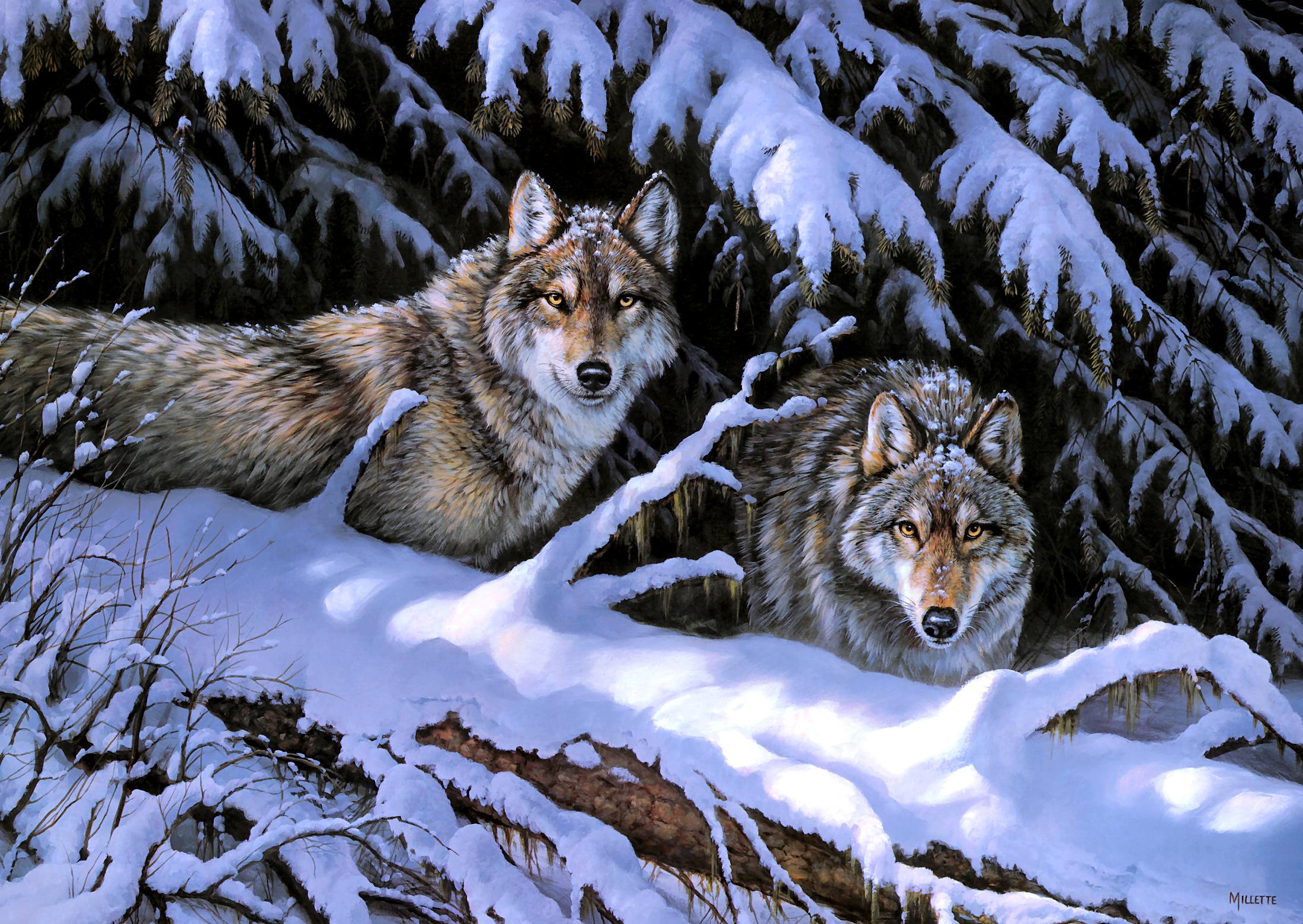Скачать обои бесплатно Животные, Волки, Волк картинка на рабочий стол ПК