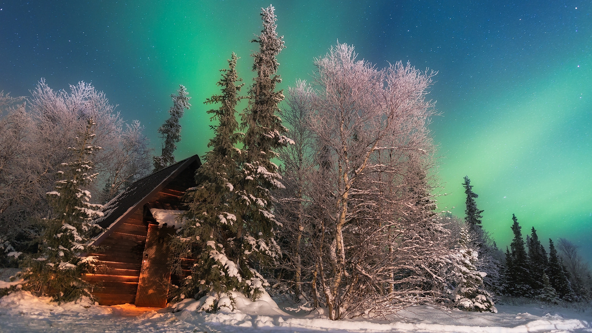 Download mobile wallpaper Winter, Sky, Forest, Tree, Earth, Aurora Borealis, Photography, Cabin for free.