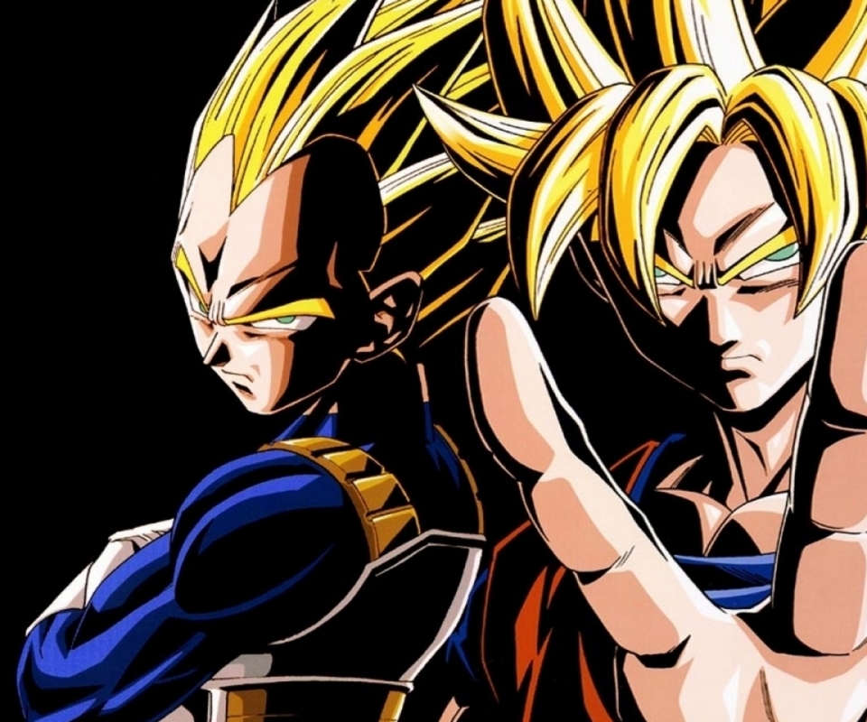 Baixar papel de parede para celular de Anime, Dragon Ball Z, Esfera Do Dragão, Goku, Vegeta (Dragon Ball) gratuito.