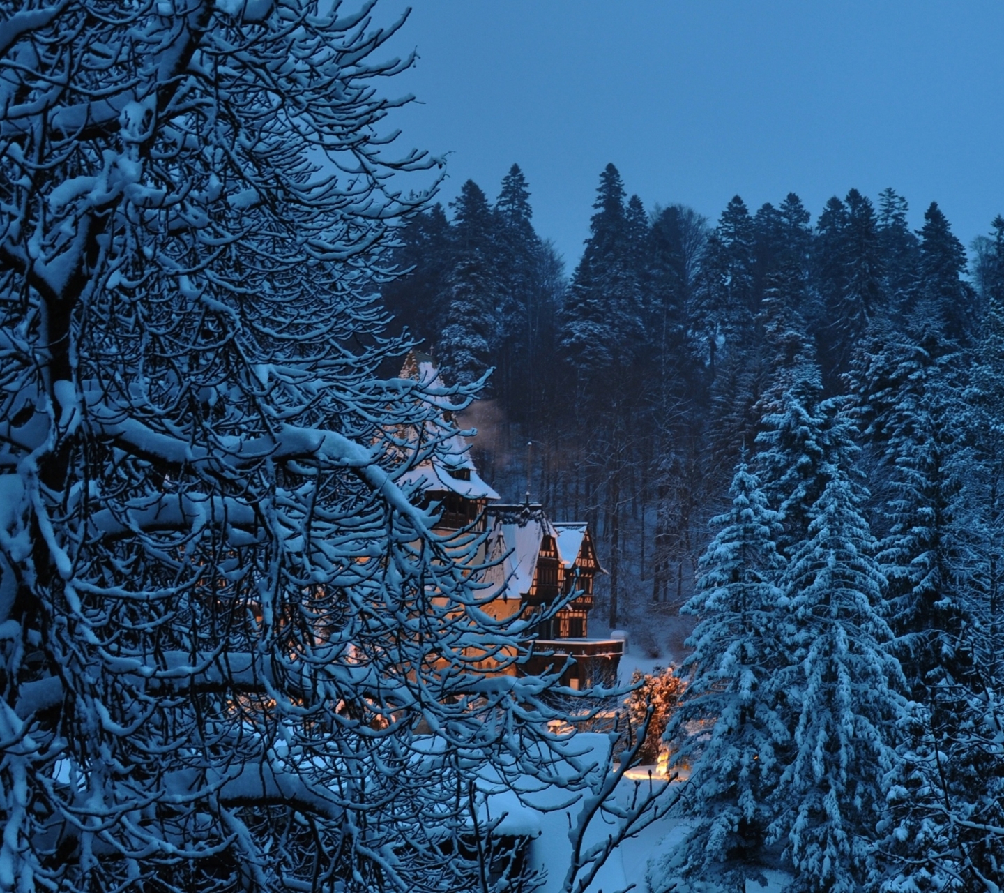Laden Sie das Winter, Schlösser, Rumänien, Menschengemacht, Schloss Peles-Bild kostenlos auf Ihren PC-Desktop herunter
