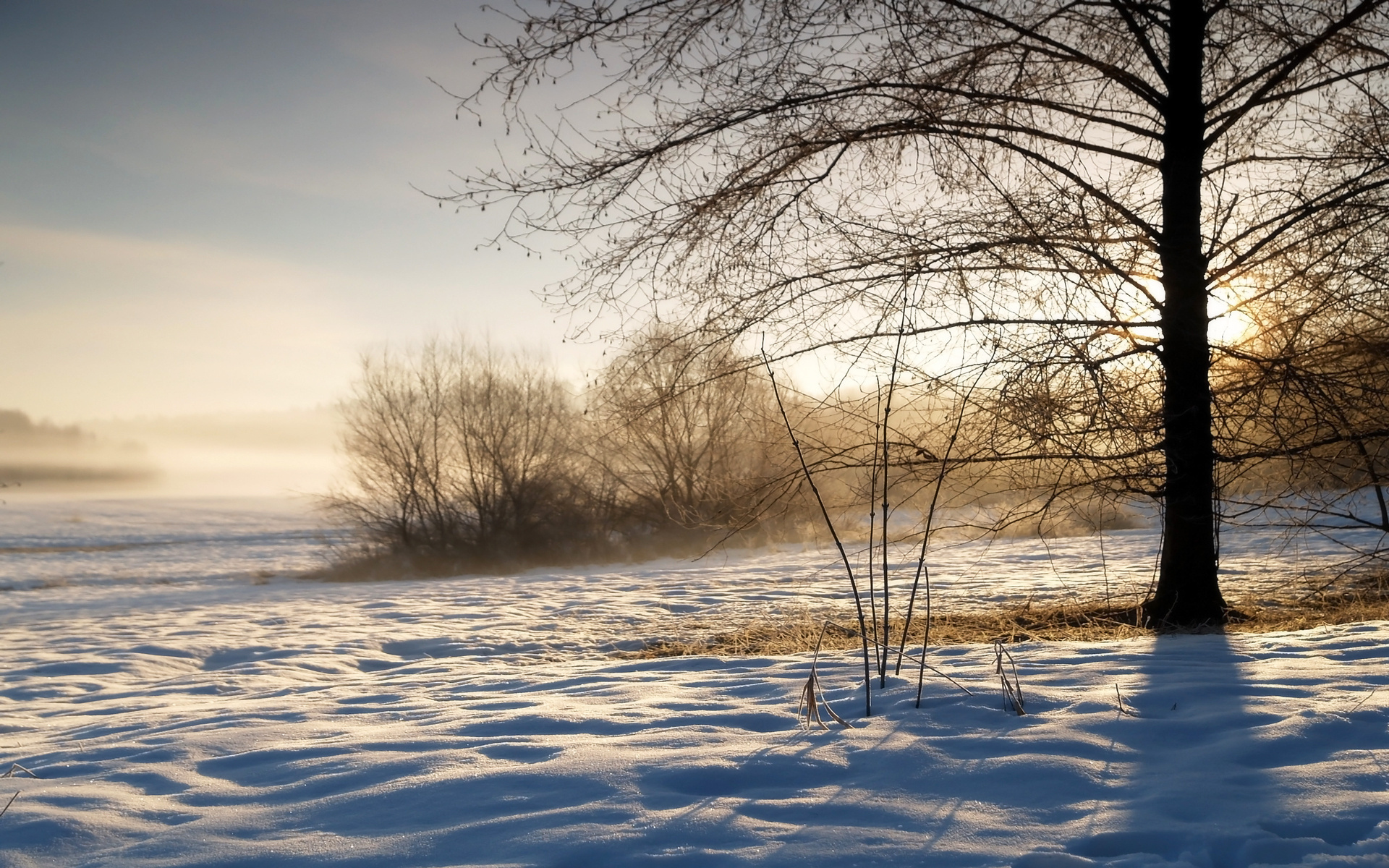 Téléchargez des papiers peints mobile Hiver, Terre/nature gratuitement.