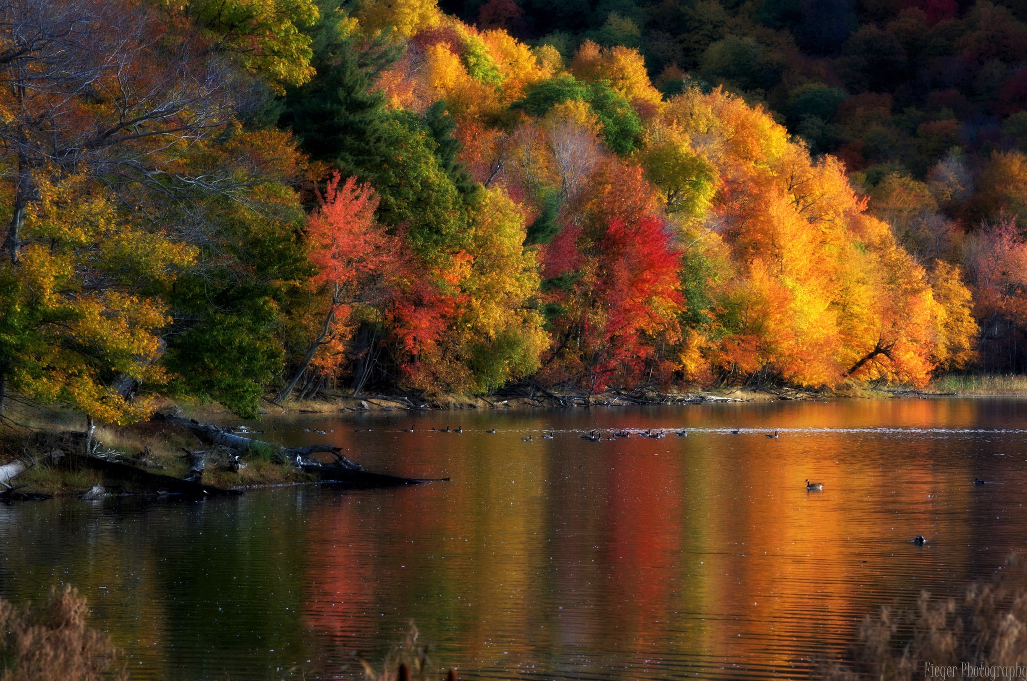 Скачать картинку Река, Деревья, Осень, Дерево, Красочный, Земля/природа в телефон бесплатно.
