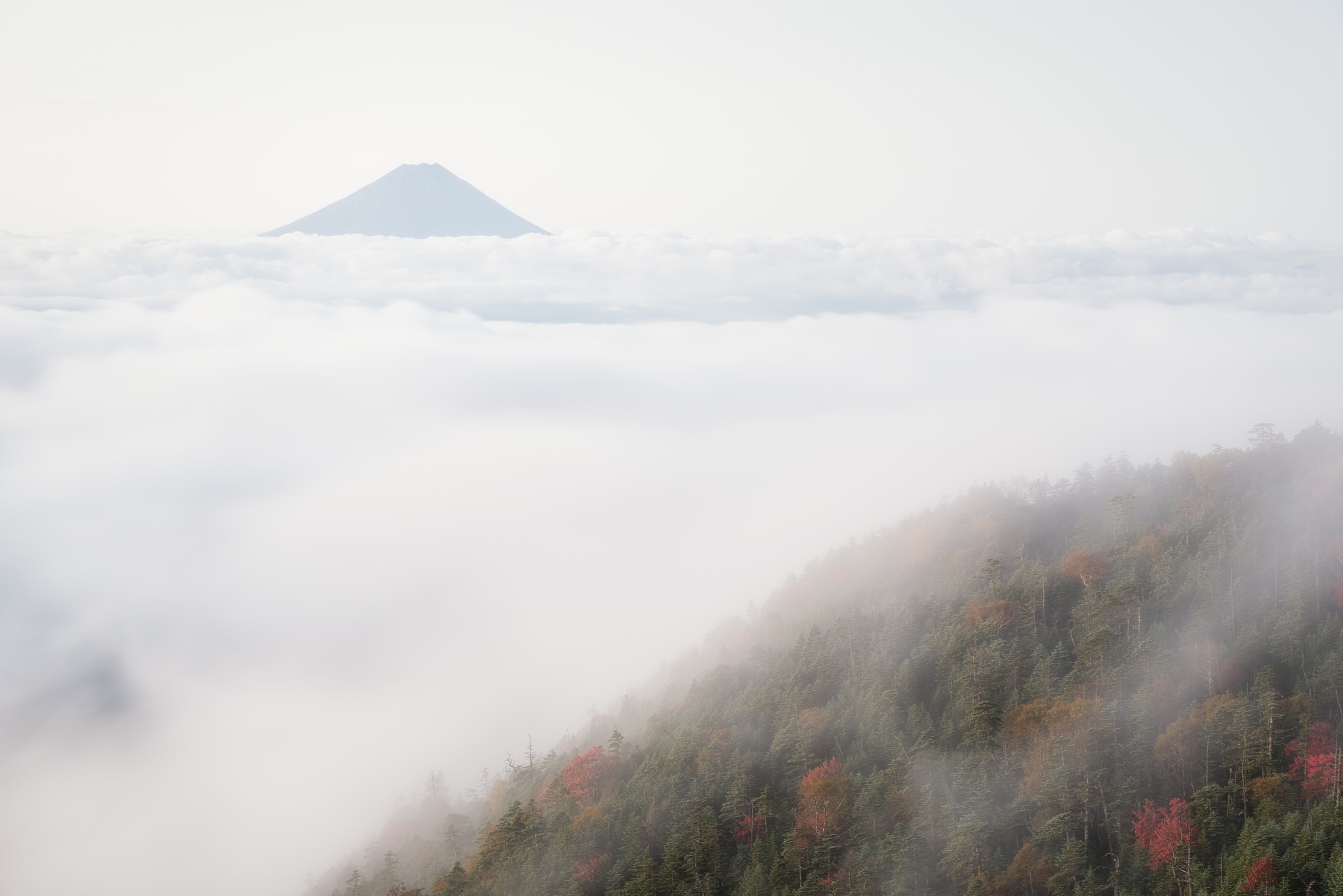 Завантажити шпалери безкоштовно Природа, Туман, Земля картинка на робочий стіл ПК