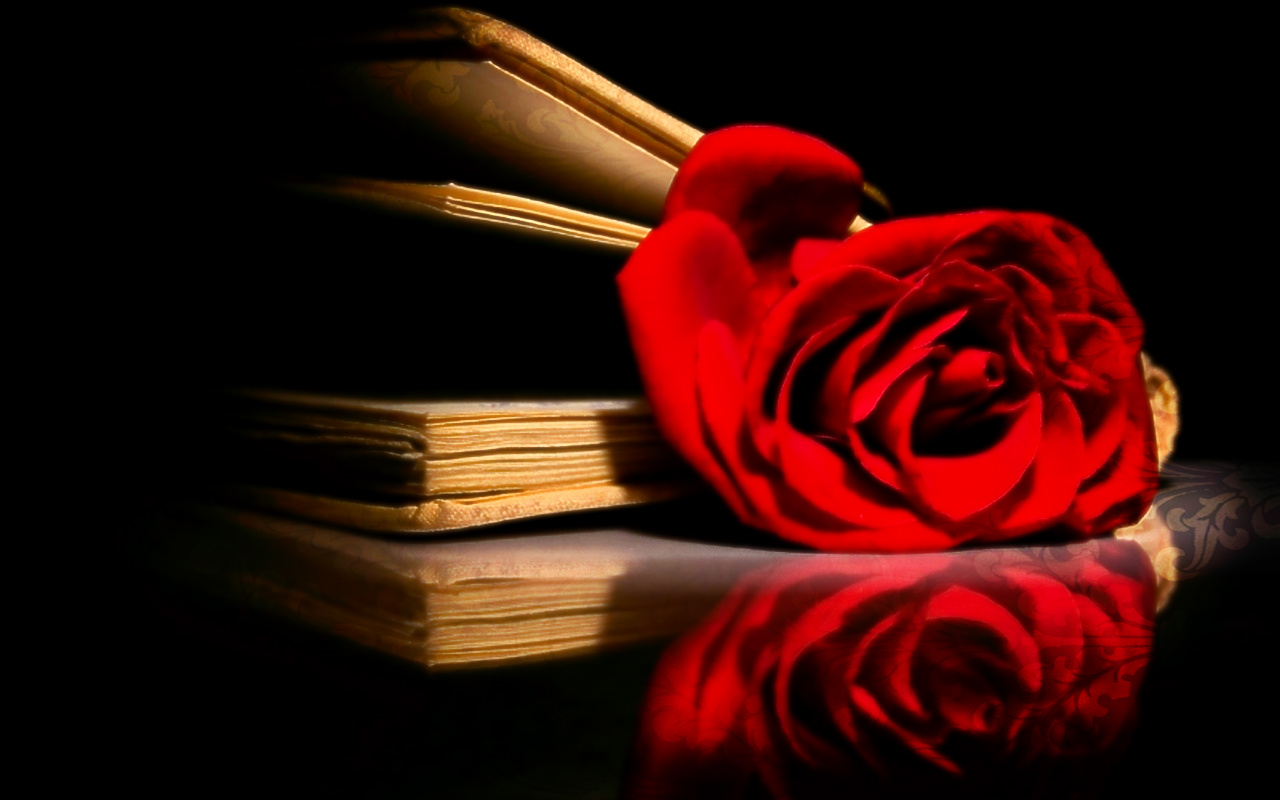 Download mobile wallpaper Rose, Book, Artistic for free.