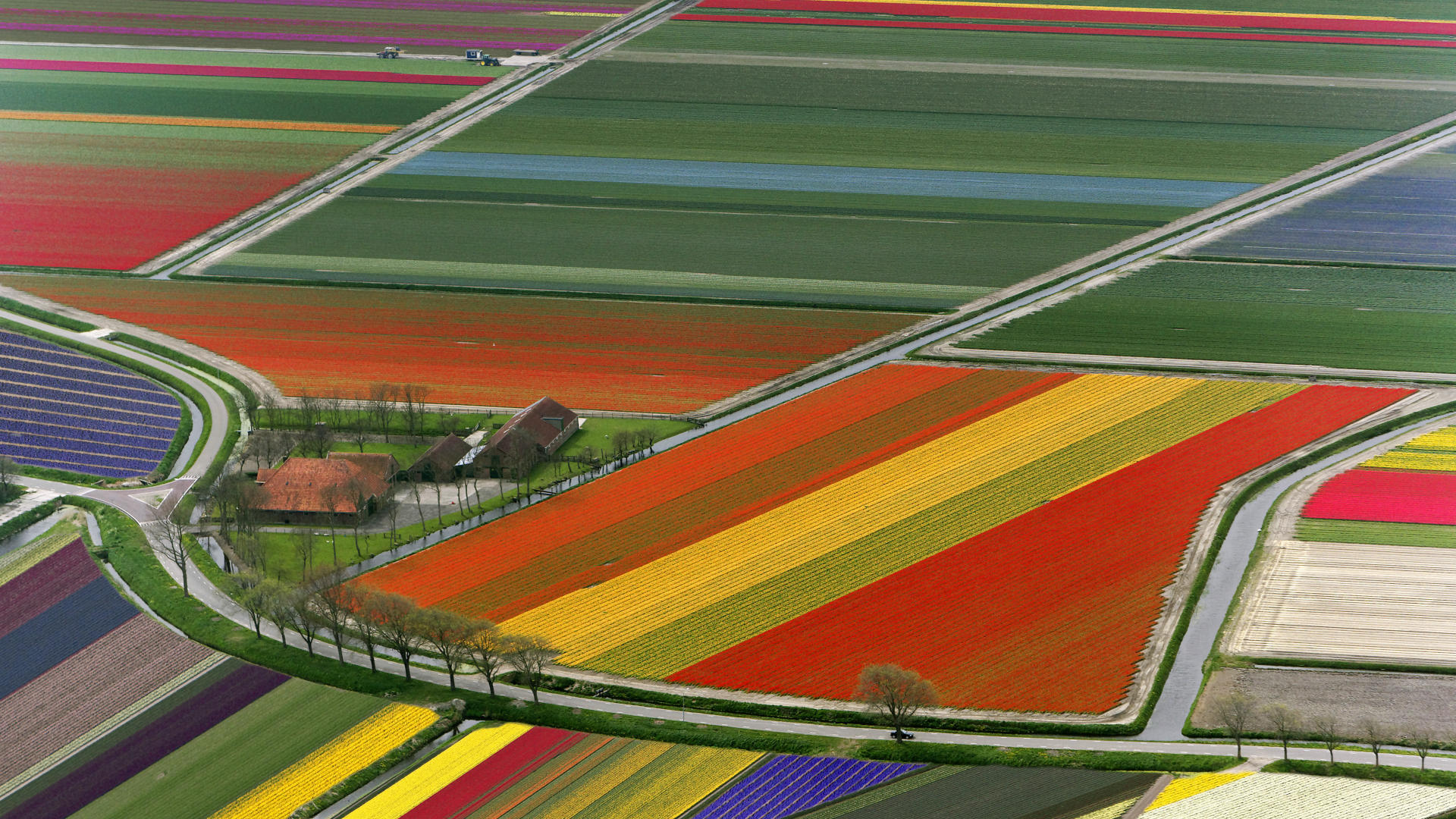 Descarga gratuita de fondo de pantalla para móvil de Campo, Tierra/naturaleza.