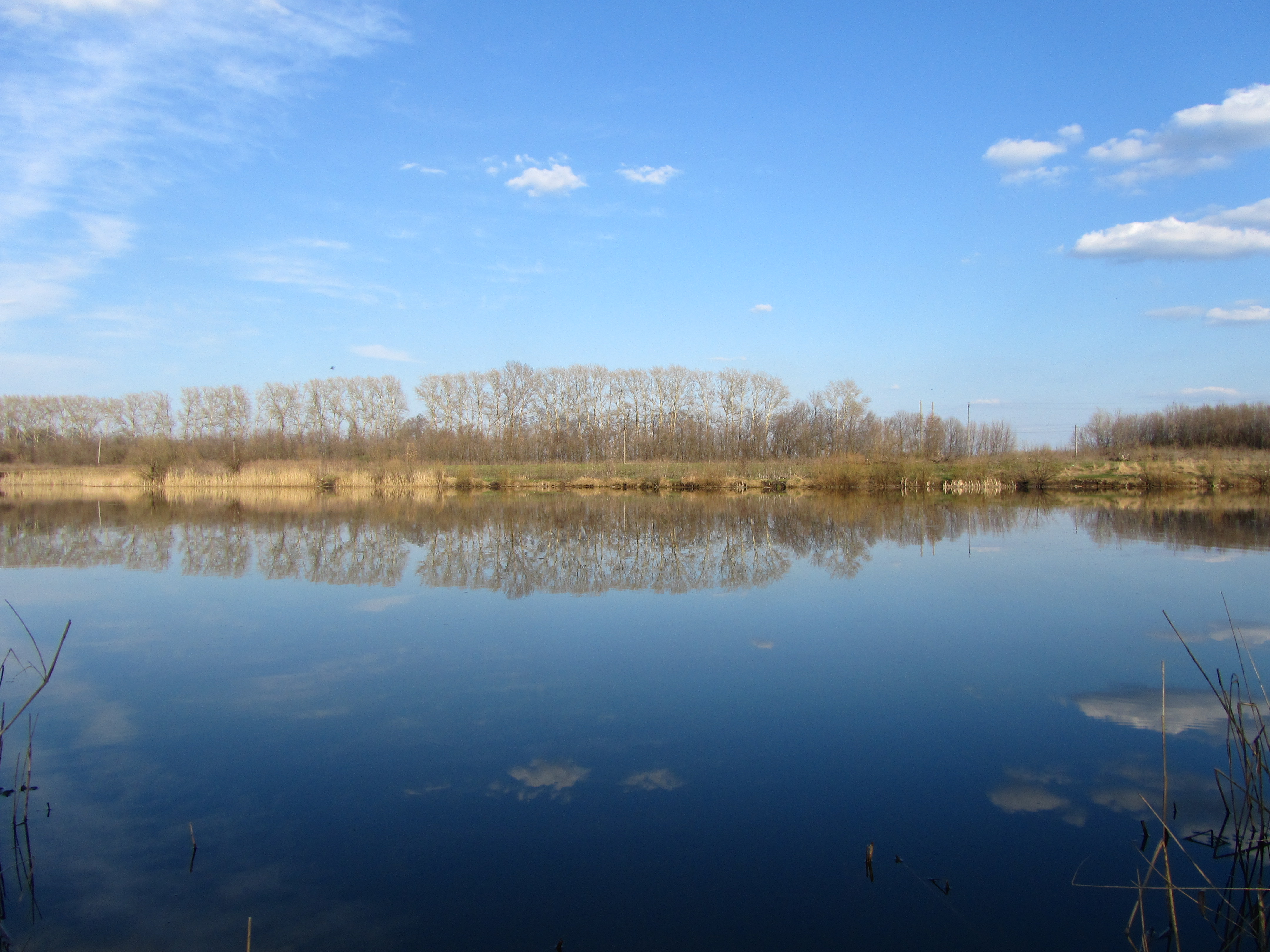 Laden Sie das Erde/natur, Spiegelung-Bild kostenlos auf Ihren PC-Desktop herunter