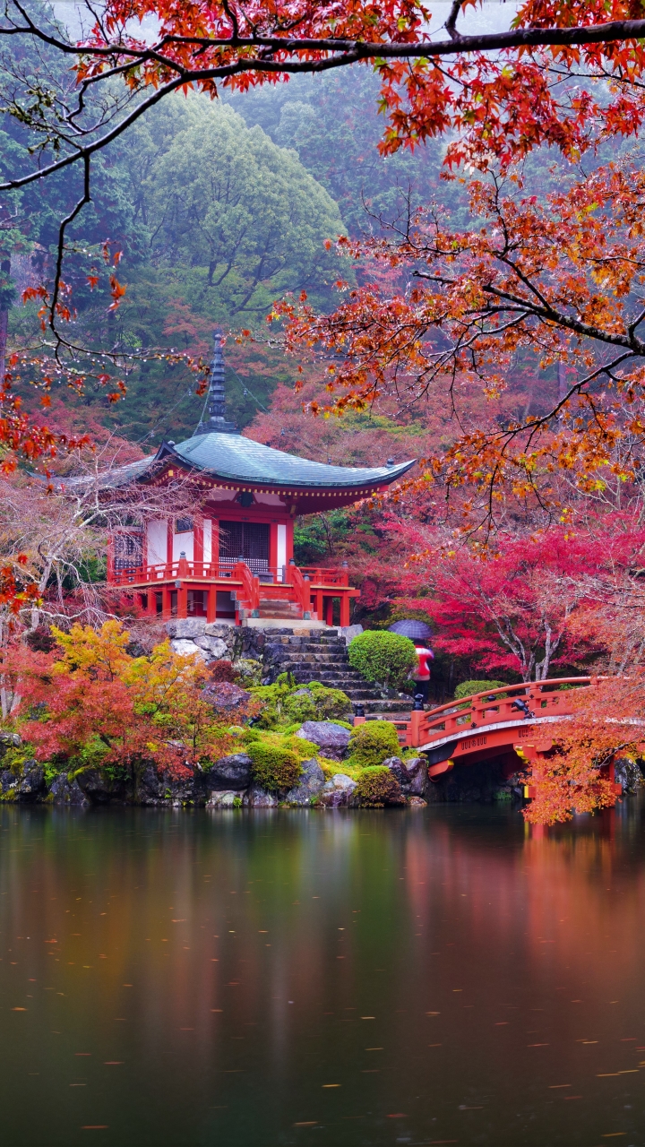Handy-Wallpaper Herbst, Brücke, Pagode, Garten, Tempel, Religiös, Japanischer Garten, Daigo Ji kostenlos herunterladen.