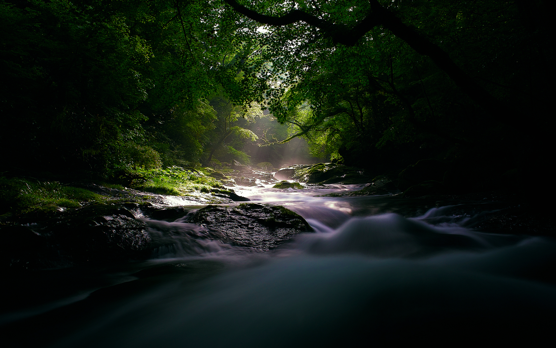 Download mobile wallpaper Manipulation, Stream, River, Forest, Earth for free.