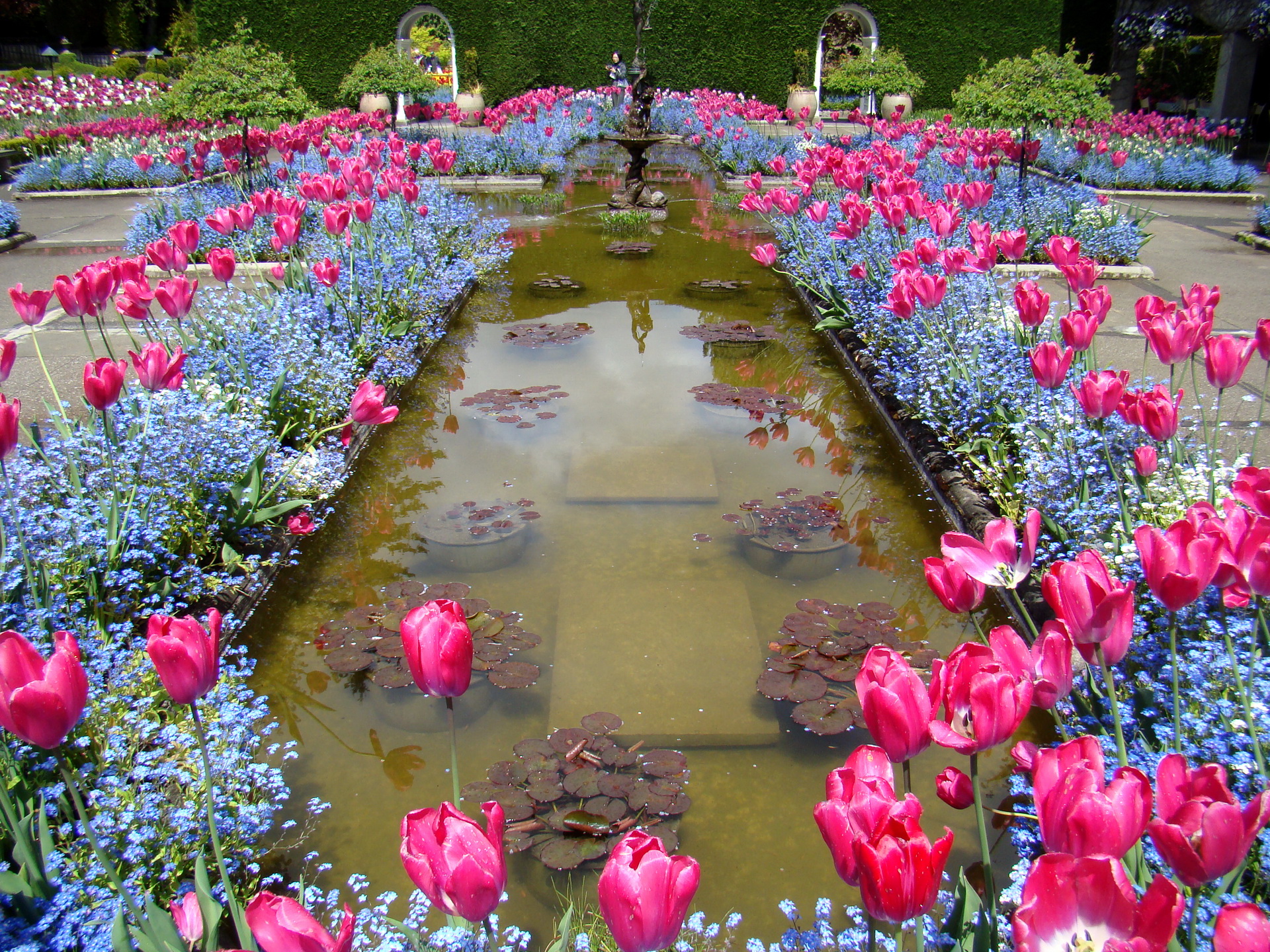 Descarga gratis la imagen Flor, Parque, Fotografía en el escritorio de tu PC