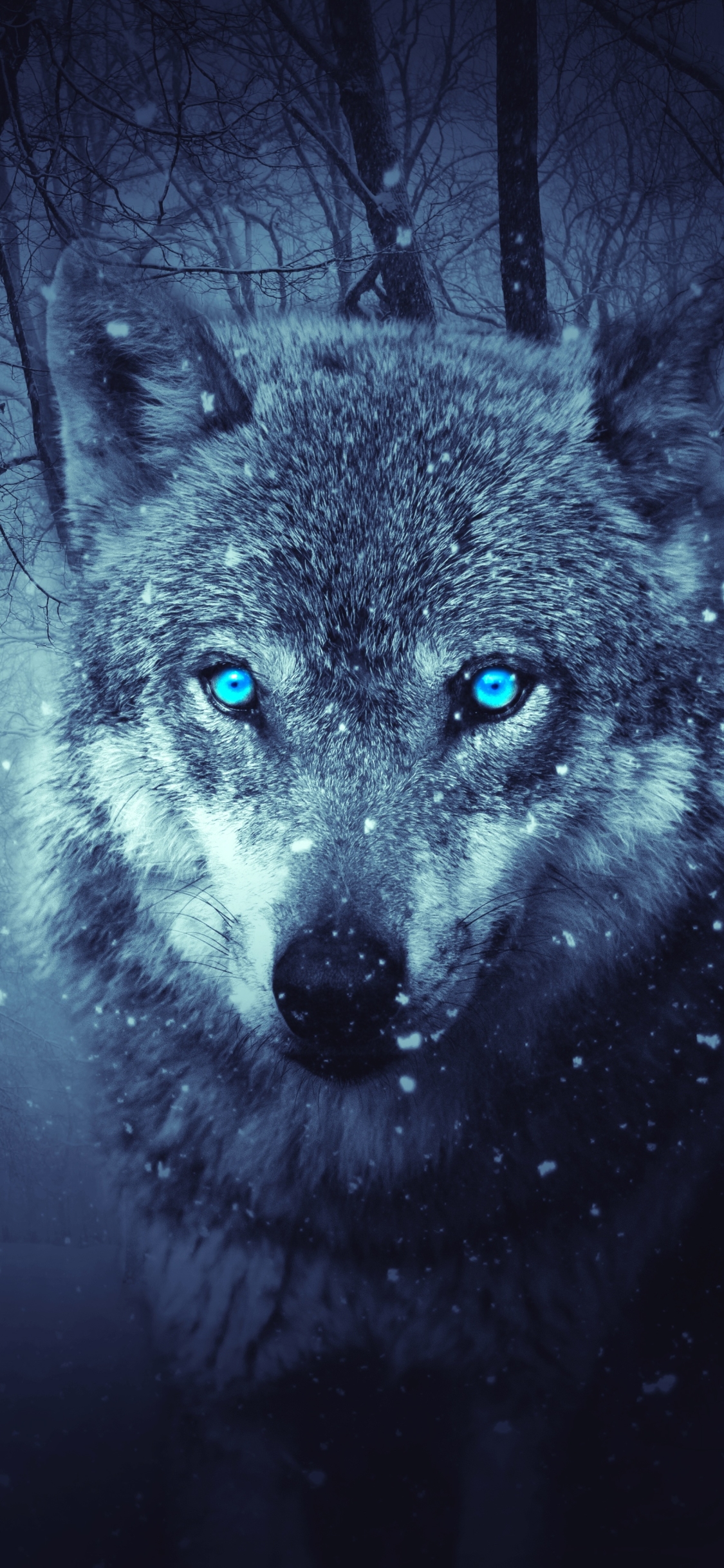 Download mobile wallpaper Fantasy, Forest, Wolf, Snowfall, Blue Eyes, Fantasy Animals for free.