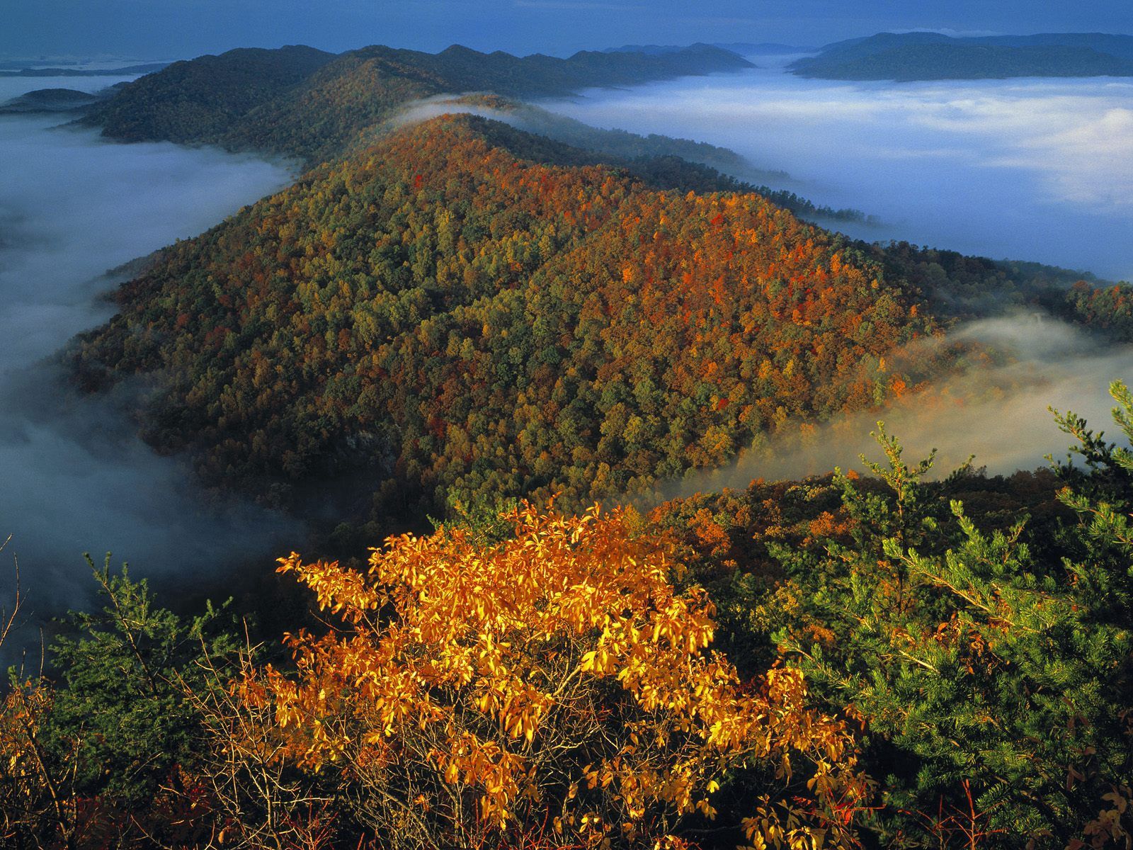 Free download wallpaper Trees, Mountains, Fog, Shroud, Nature, Autumn on your PC desktop