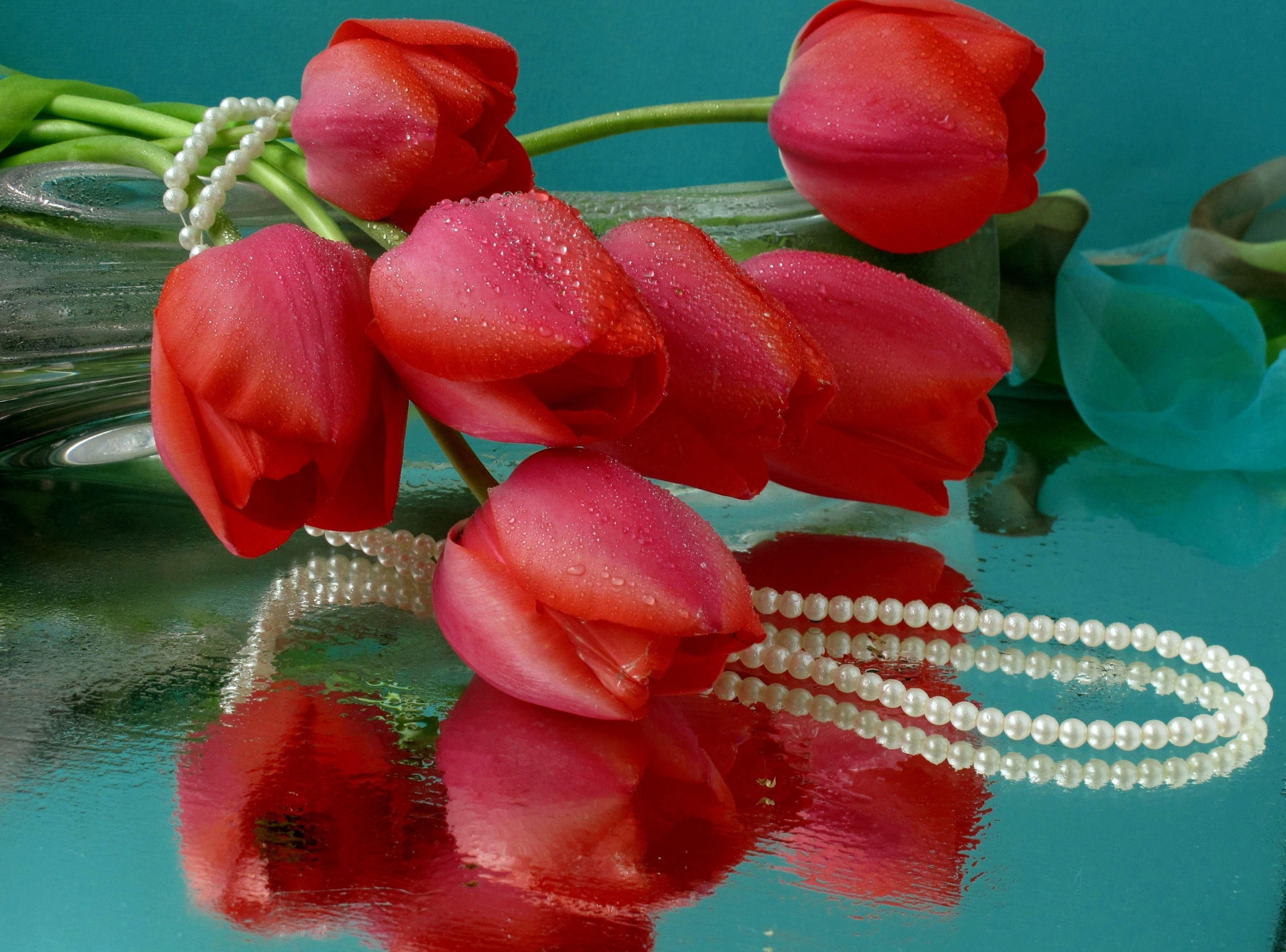 Download mobile wallpaper Reflection, Lie, To Lie Down, Beads, Flowers, Drops, Vase, Water, Tulips for free.