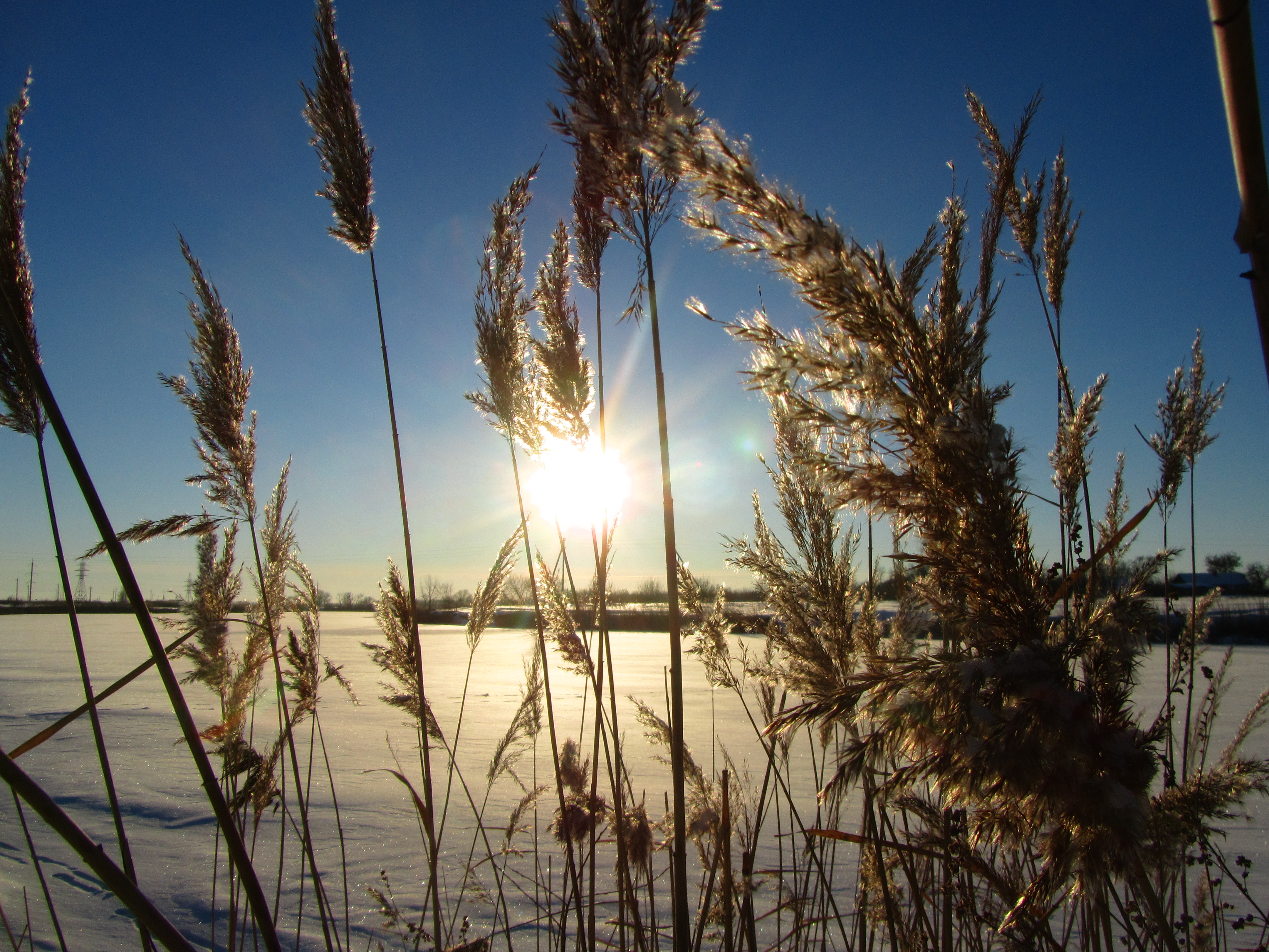 Descarga gratis la imagen Rayo De Sol, Tierra/naturaleza en el escritorio de tu PC