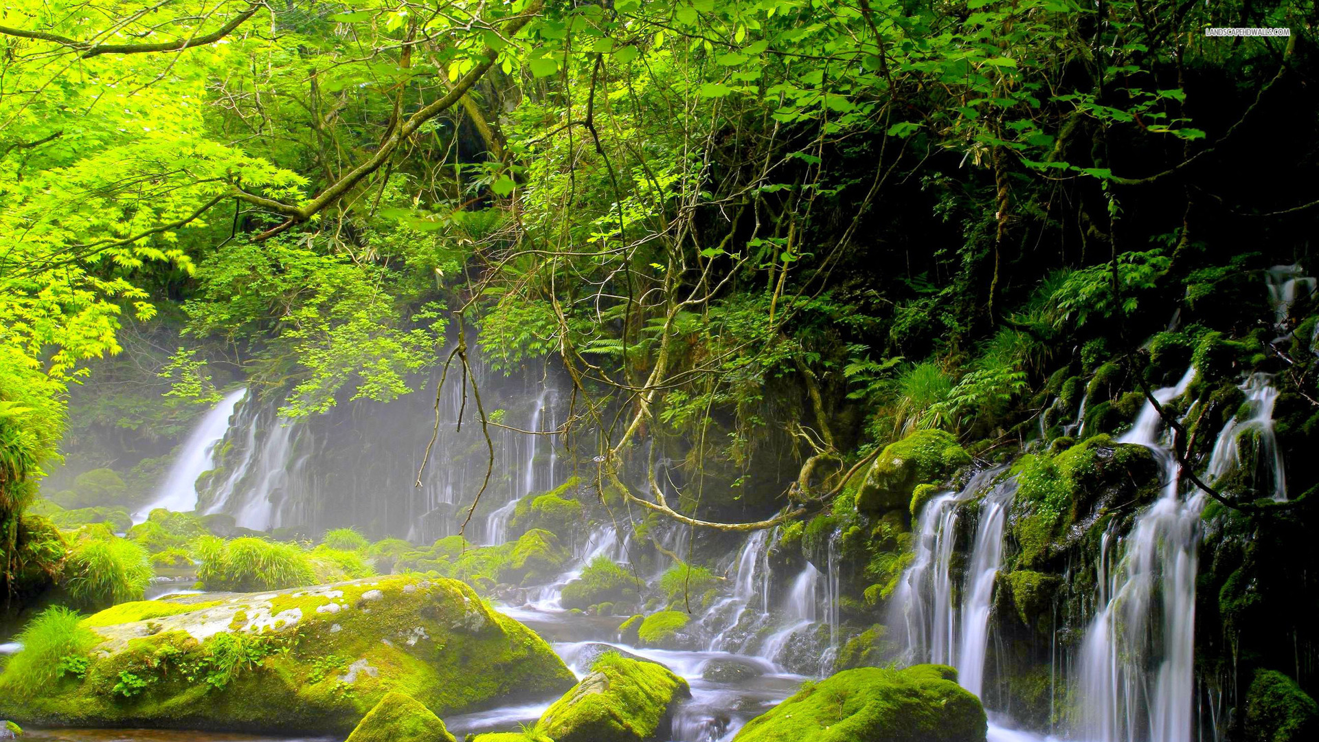 Download mobile wallpaper Moss, Waterfall, Waterfalls, Nature, Earth for free.
